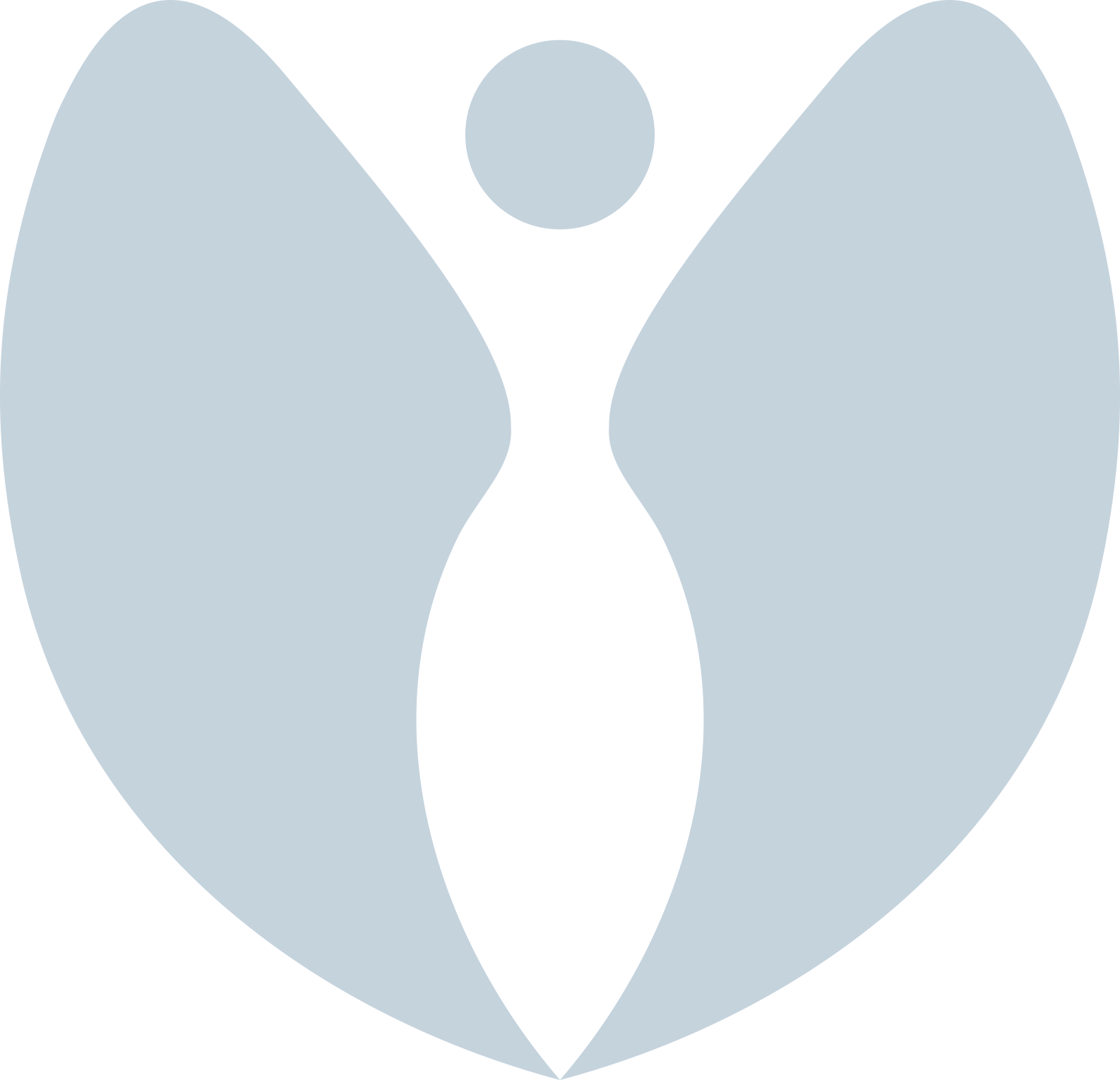 A stylized abstract butterfly logo with symmetrical black and light blue shapes.