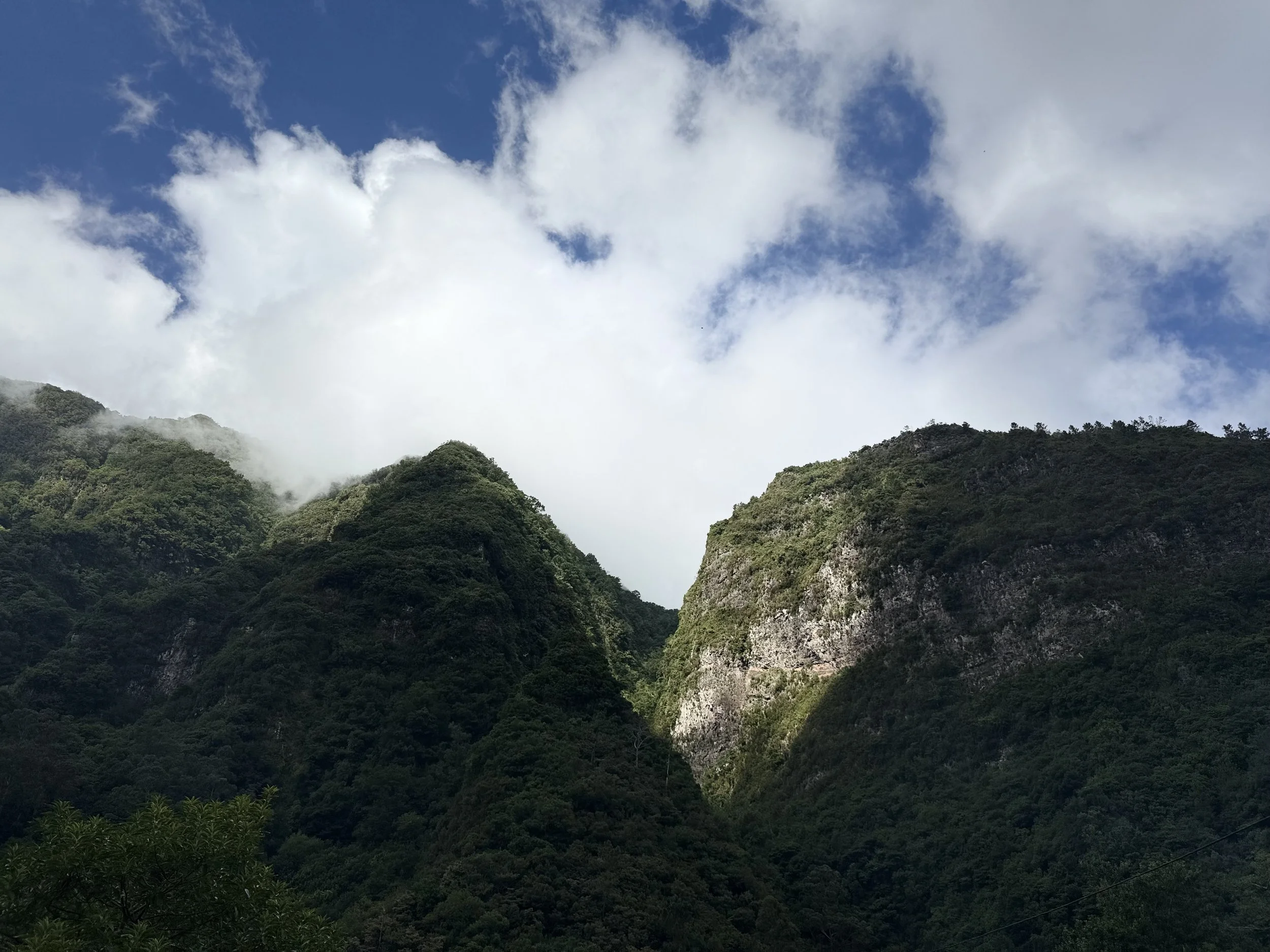 Tours na ilha da madeira. Tour 4x4. Passeios em grupo. Safari Madeira O que fazer na madeira. Atividades em grupo.