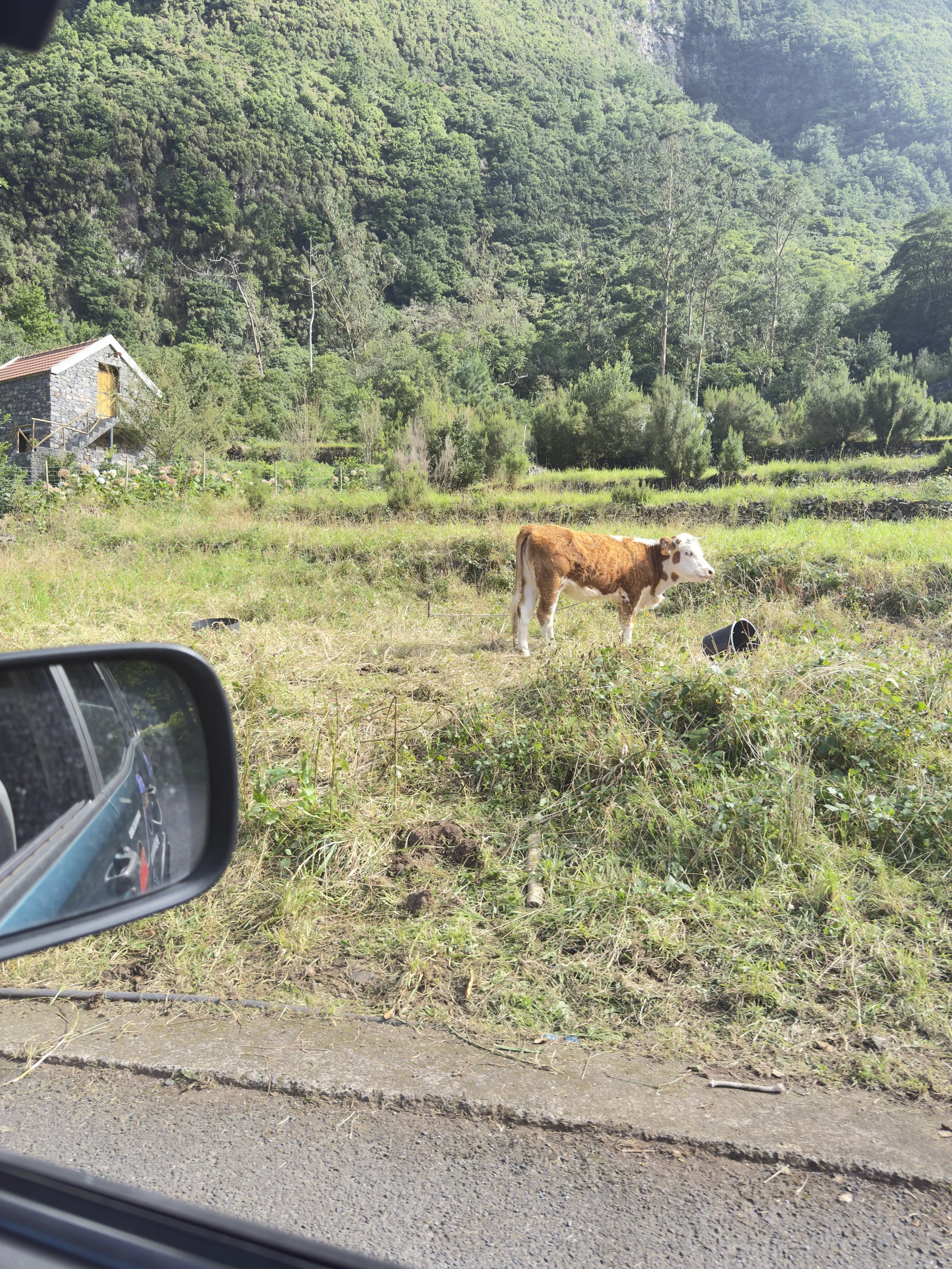 Tours na ilha da madeira. Tour 4x4. Passeios em grupo. Safari Madeira O que fazer na madeira. Atividades em grupo.