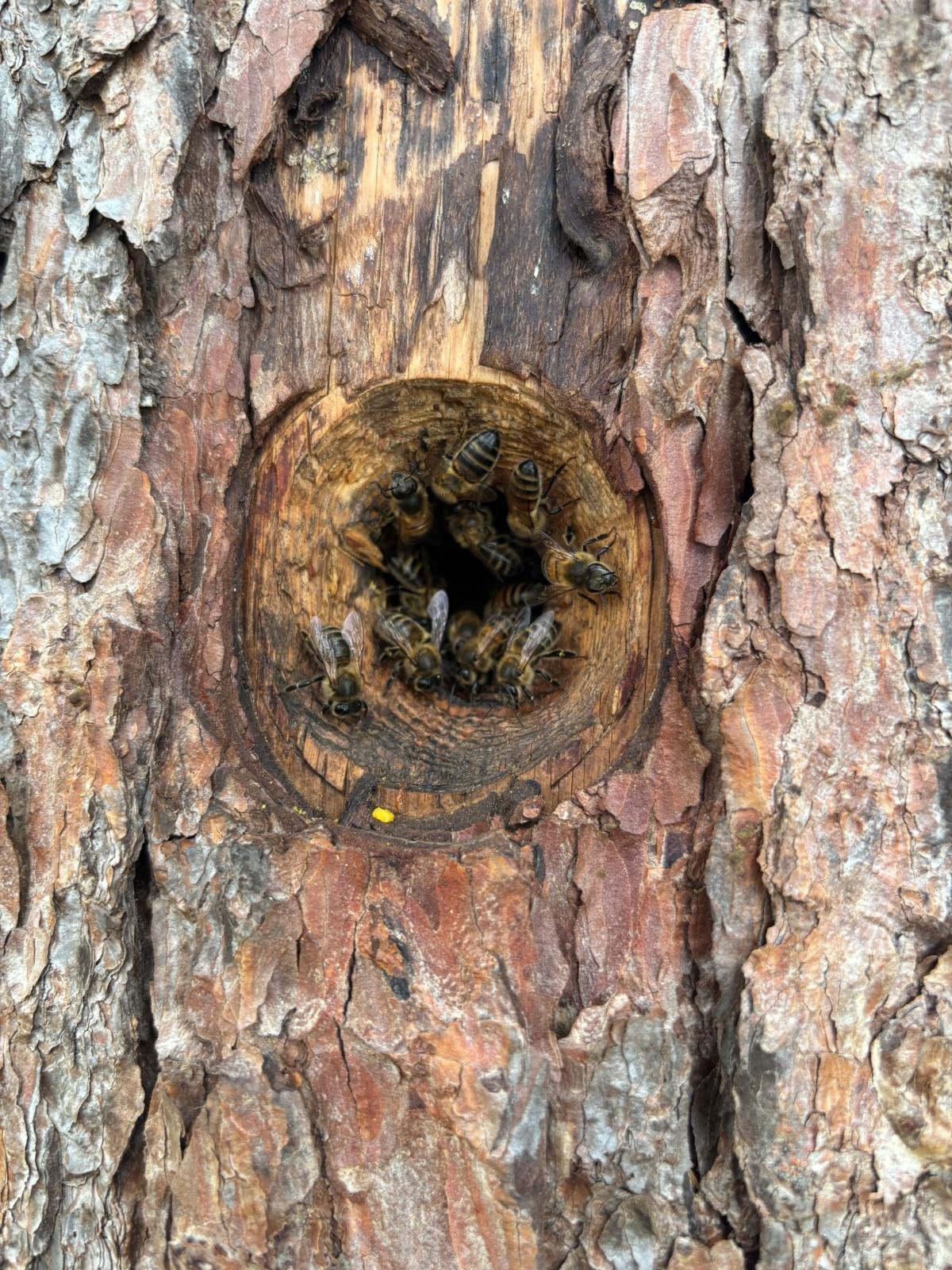 nature.jpg