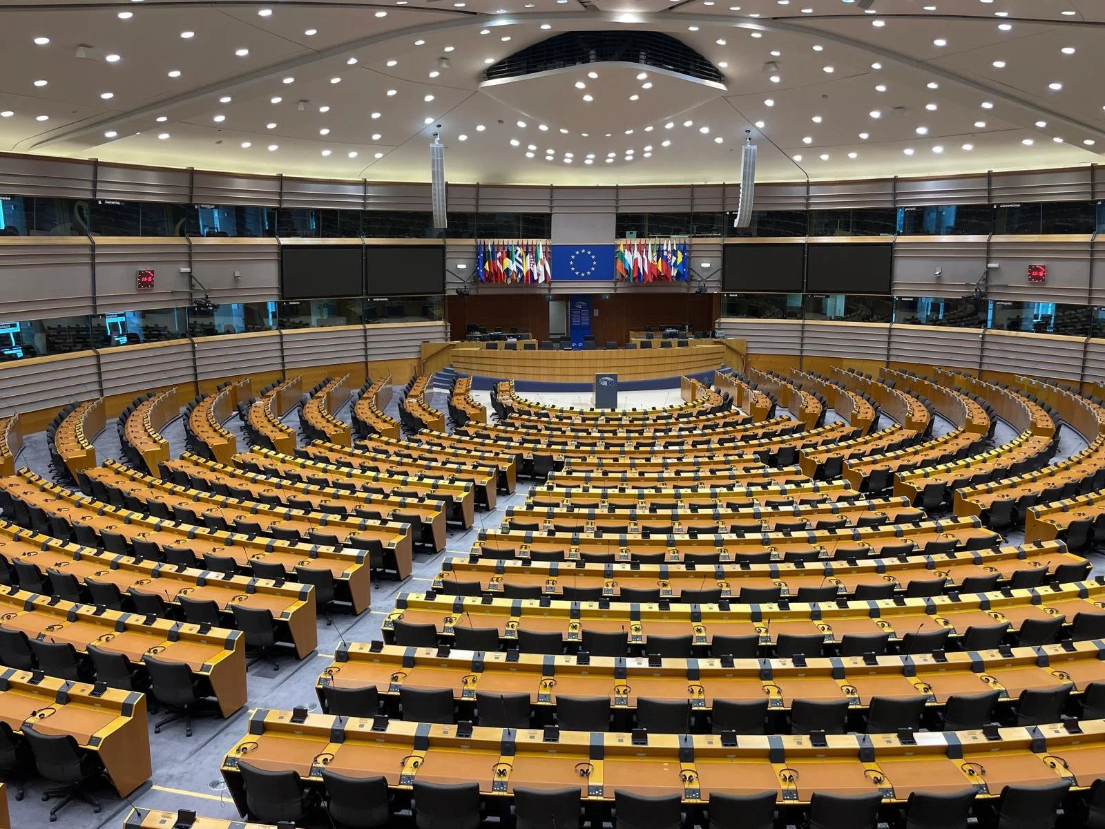 WhatsApp Image 2025-10-16 at 22.38.12_c6a9f6a3.jpg