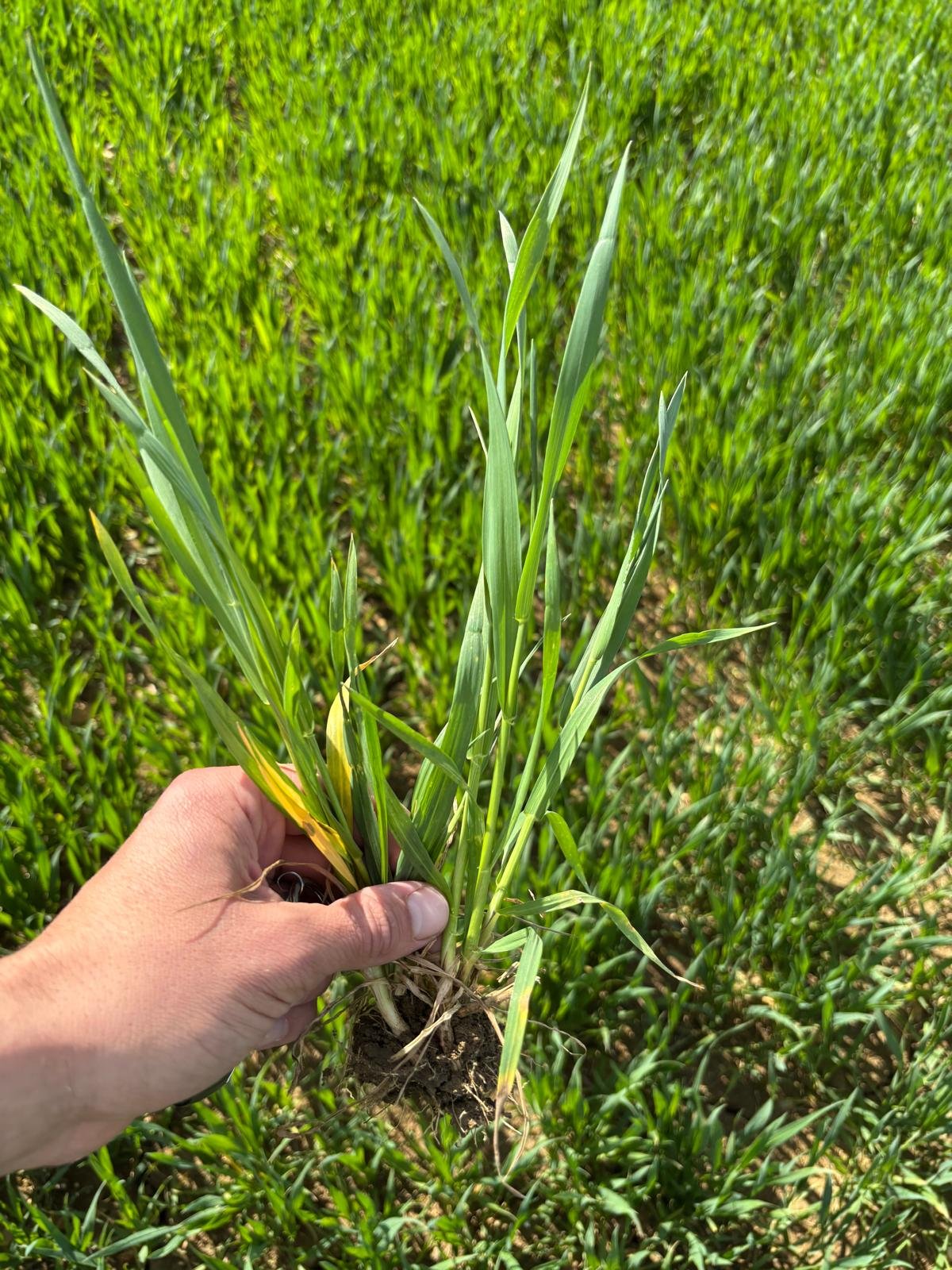 WhatsApp Image 2025-10-16 at 22.06.47_a870b8f9.jpg