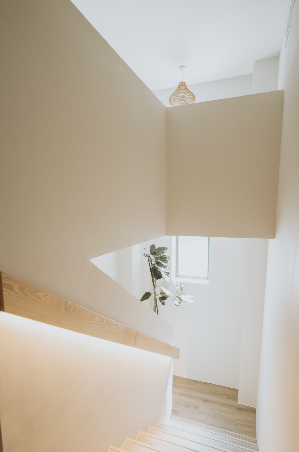 Screenshot 2025-11-25 at 10.25.10 AM.png