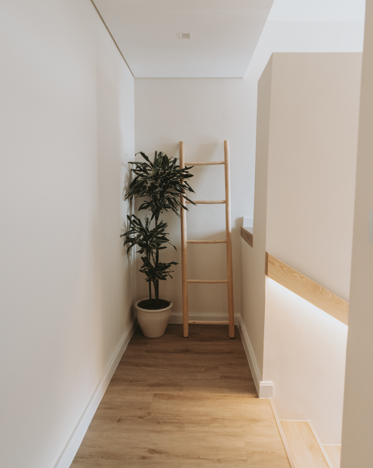 Screenshot 2025-11-25 at 10.30.44 AM.png