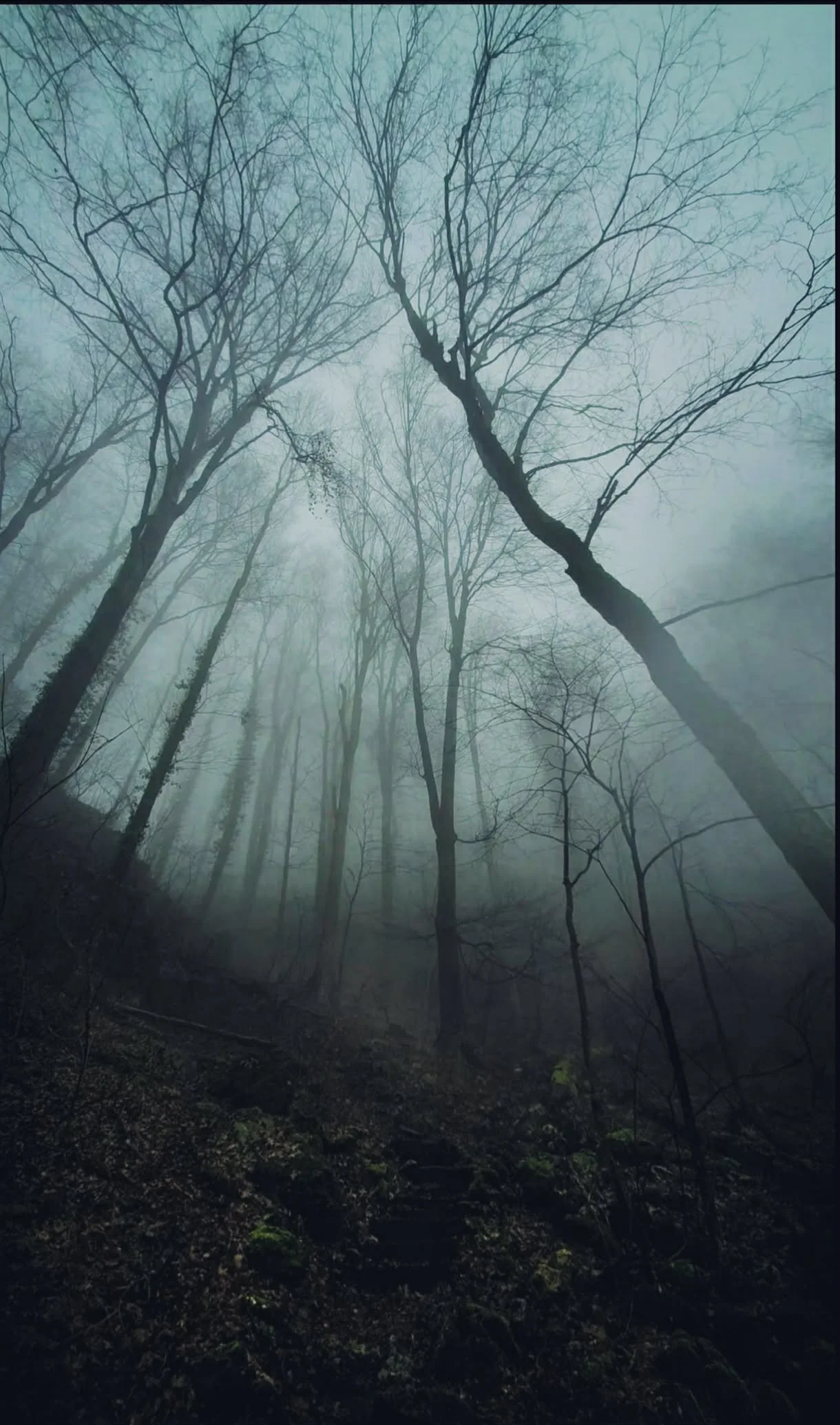 24f47054-1565-4d0c-981a-27e5b38852c7.jfif