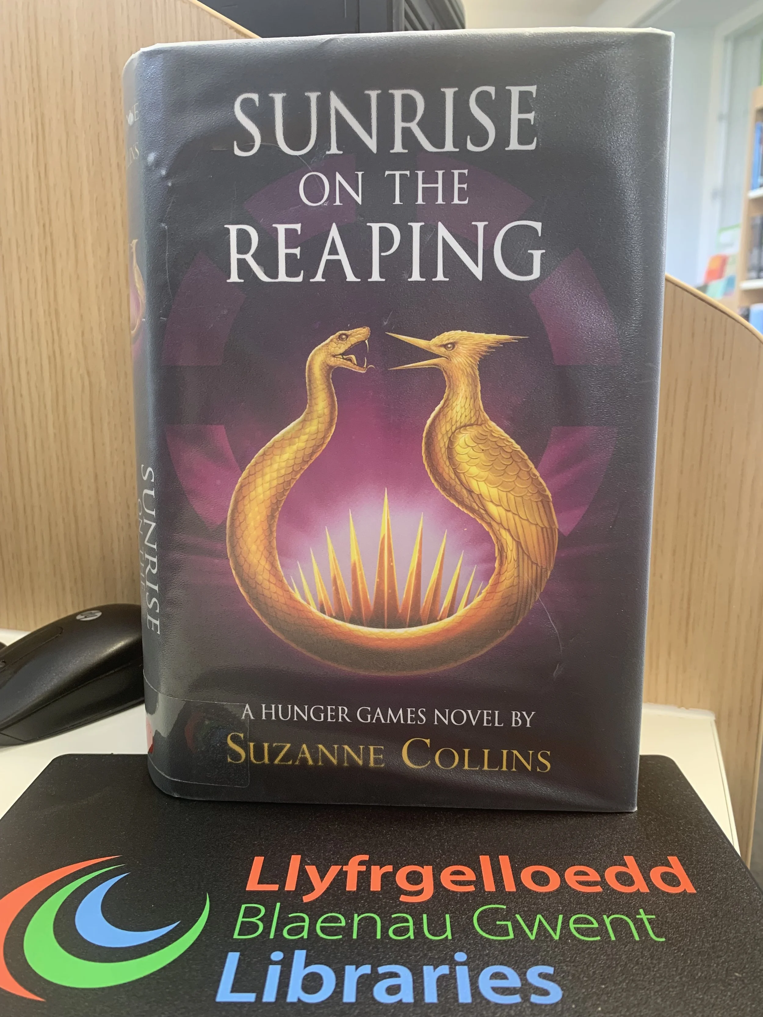 Sunrise on the Reaping