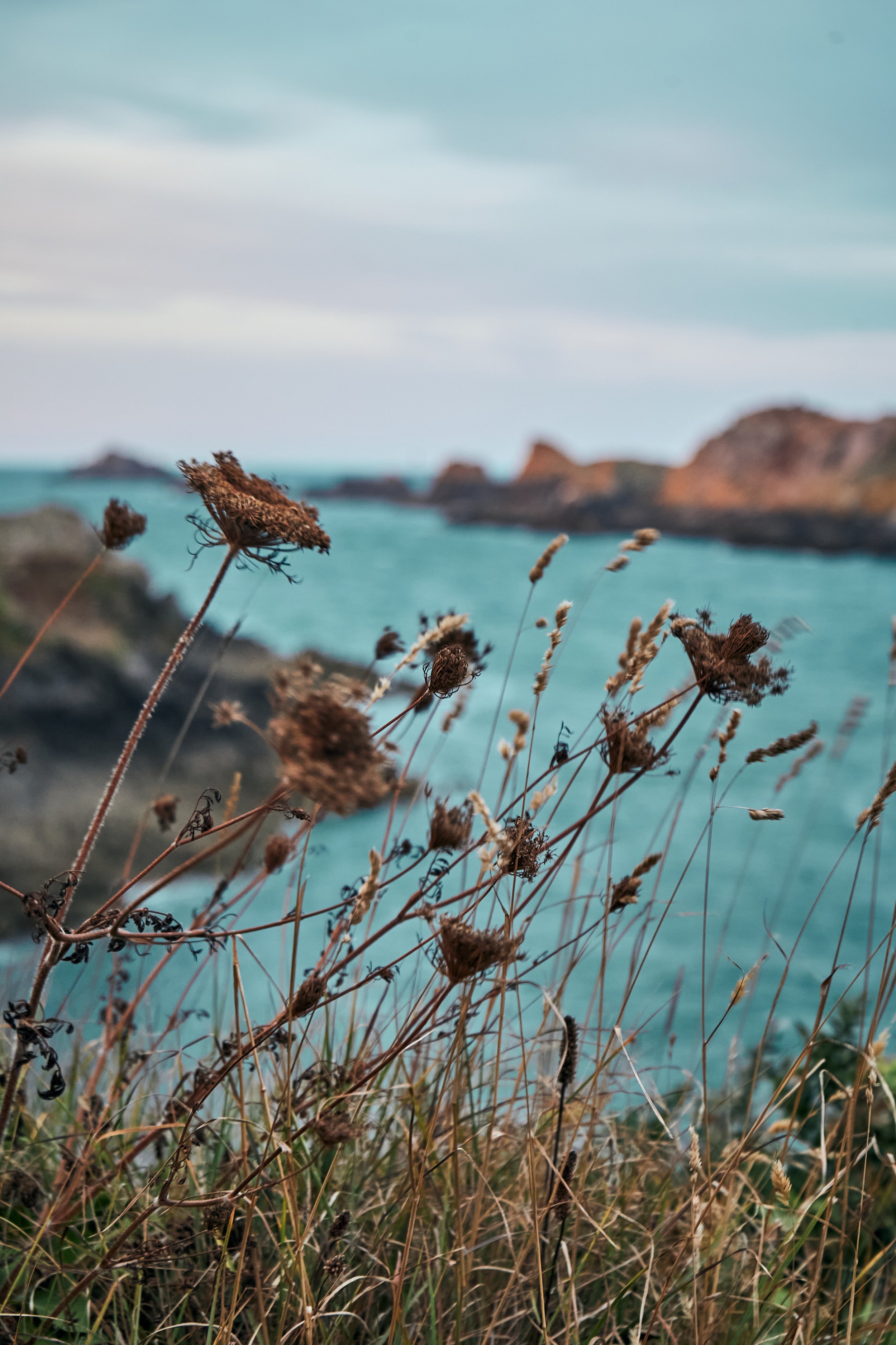 Bretagne_2026_ 21.jpg