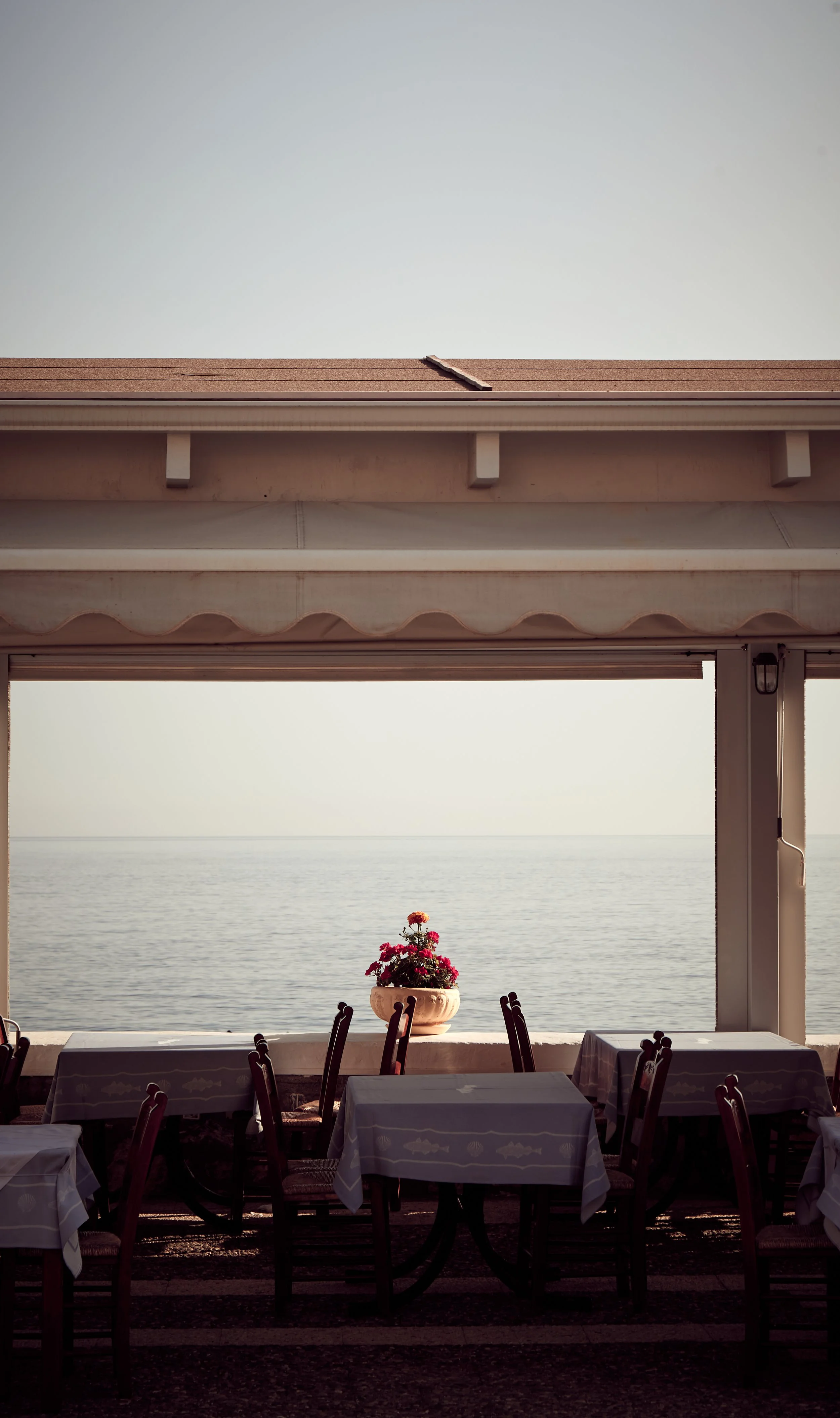 Een terrasseterras met tafels en stoelen, een bloemenpot en uitzicht op de zee.