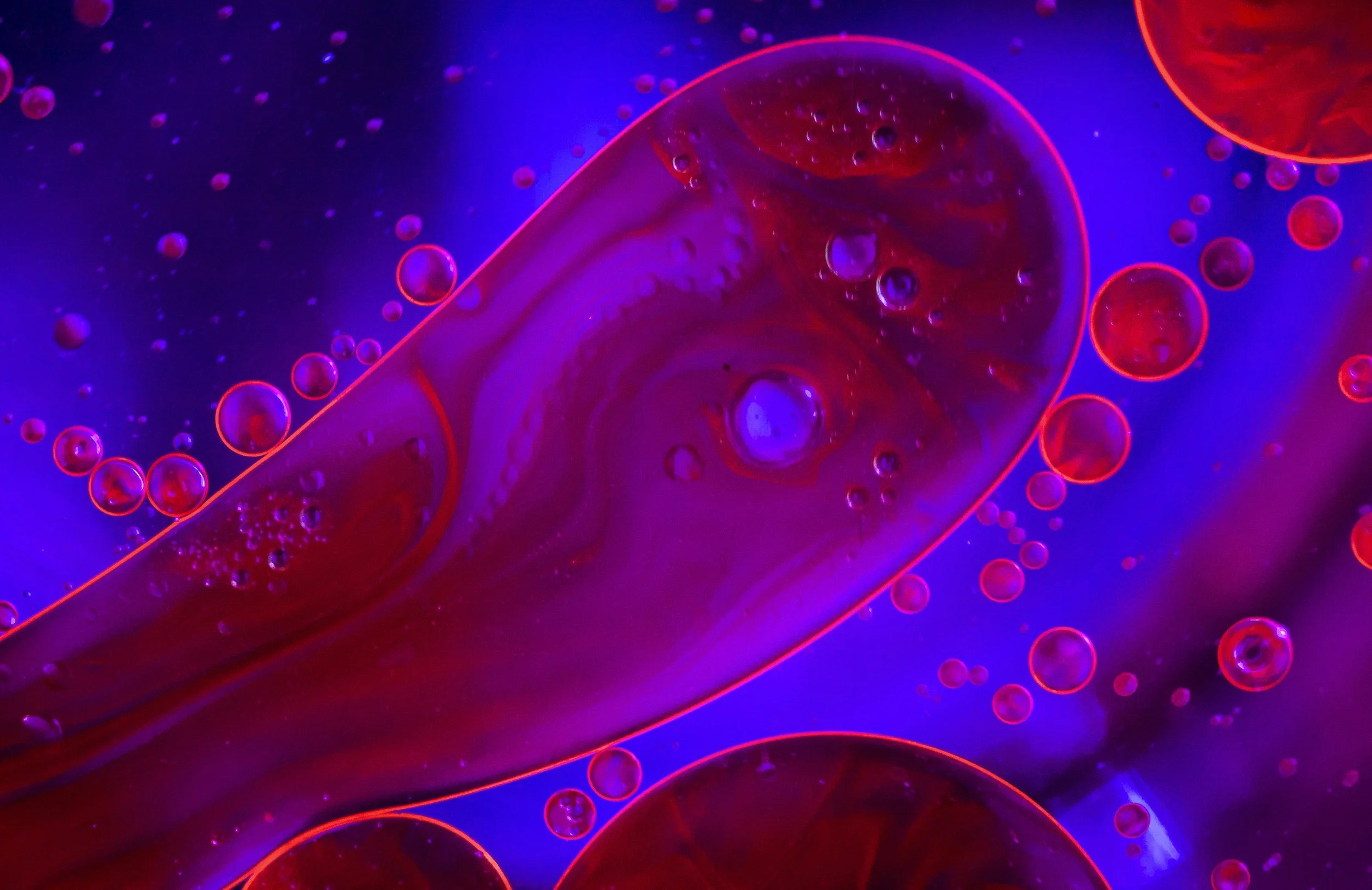 Anaemia (non-emergency)