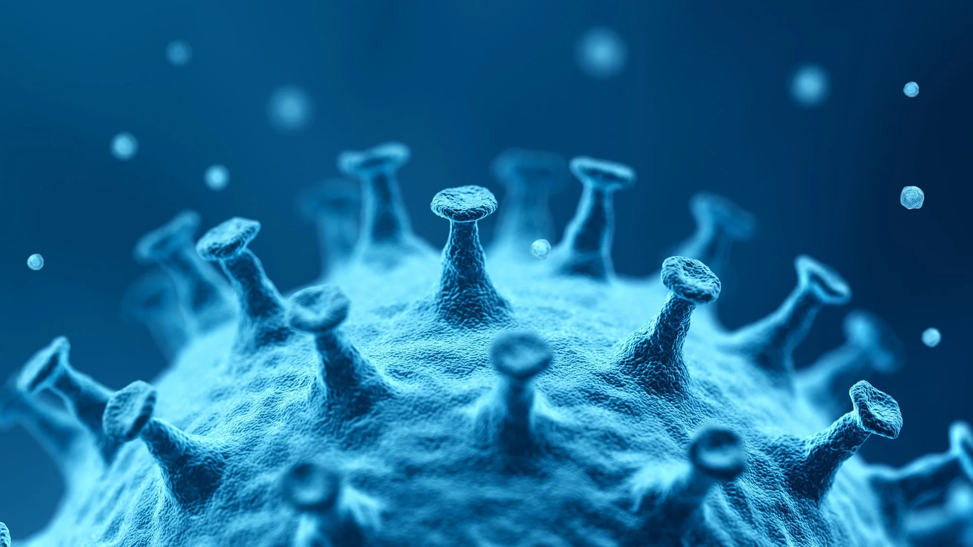 Hyperbaric Oxygenation and COVID-19