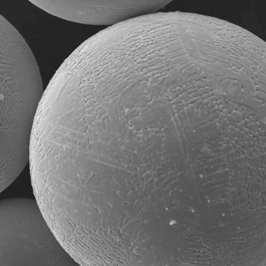 Close-up of a microscopic pollen grain showing detailed surface textures.