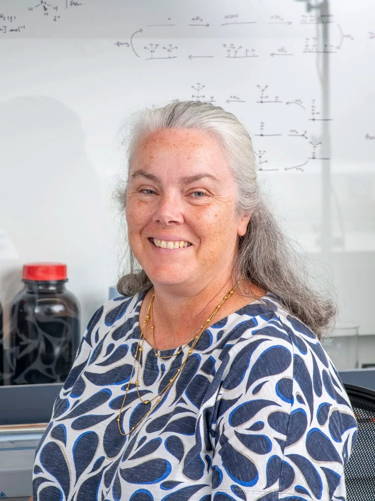 Smiling woman with gray hair in a patterned blouse sitting in front of a whiteboard with scientific diagrams.