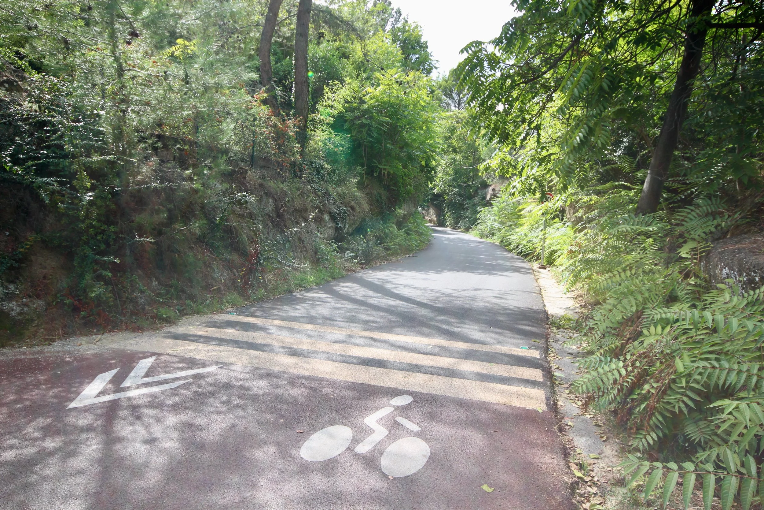 Voie cyclable Carpentras / Mazan