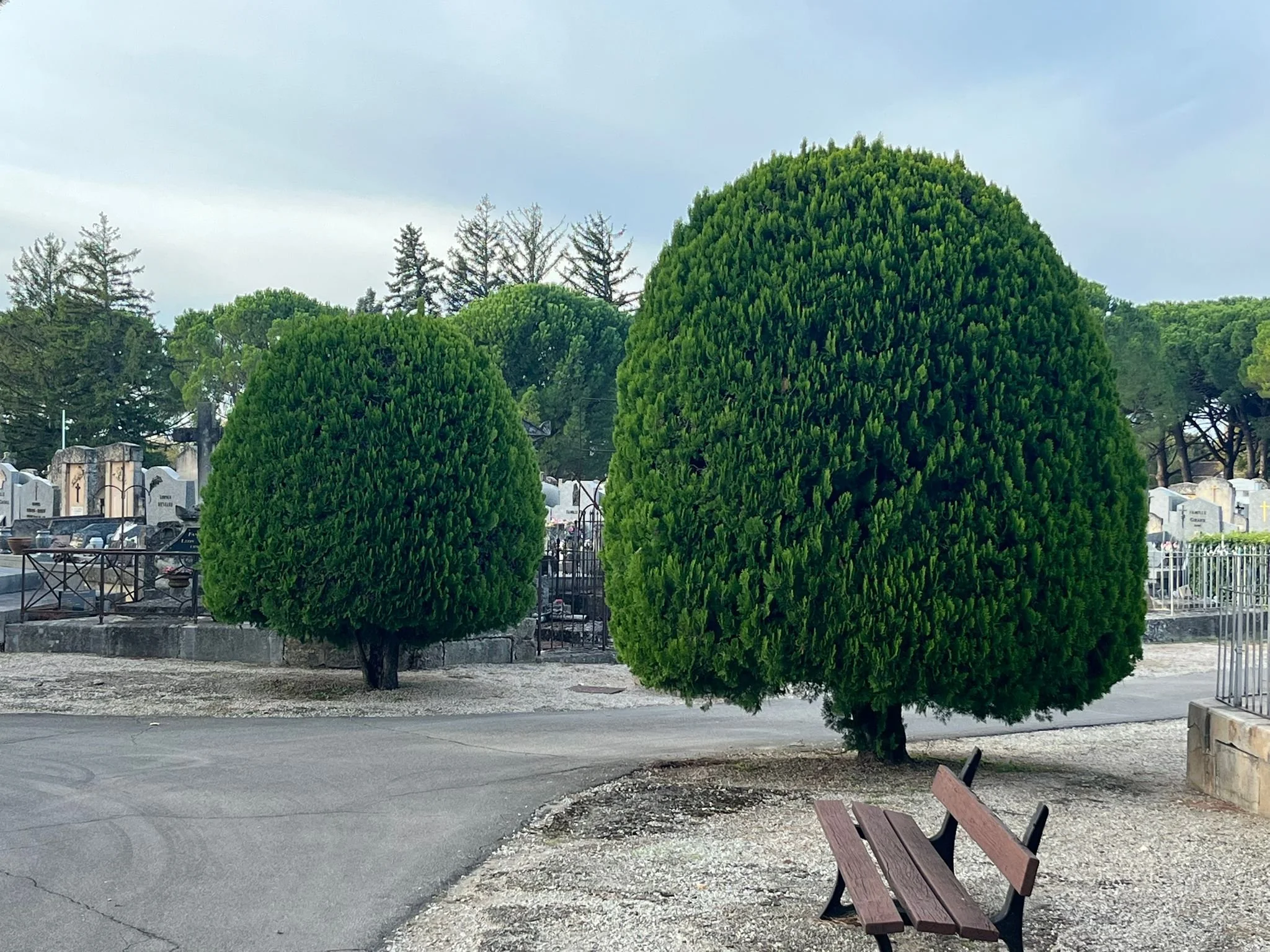 Entretien du cimetière en zéro-phyto