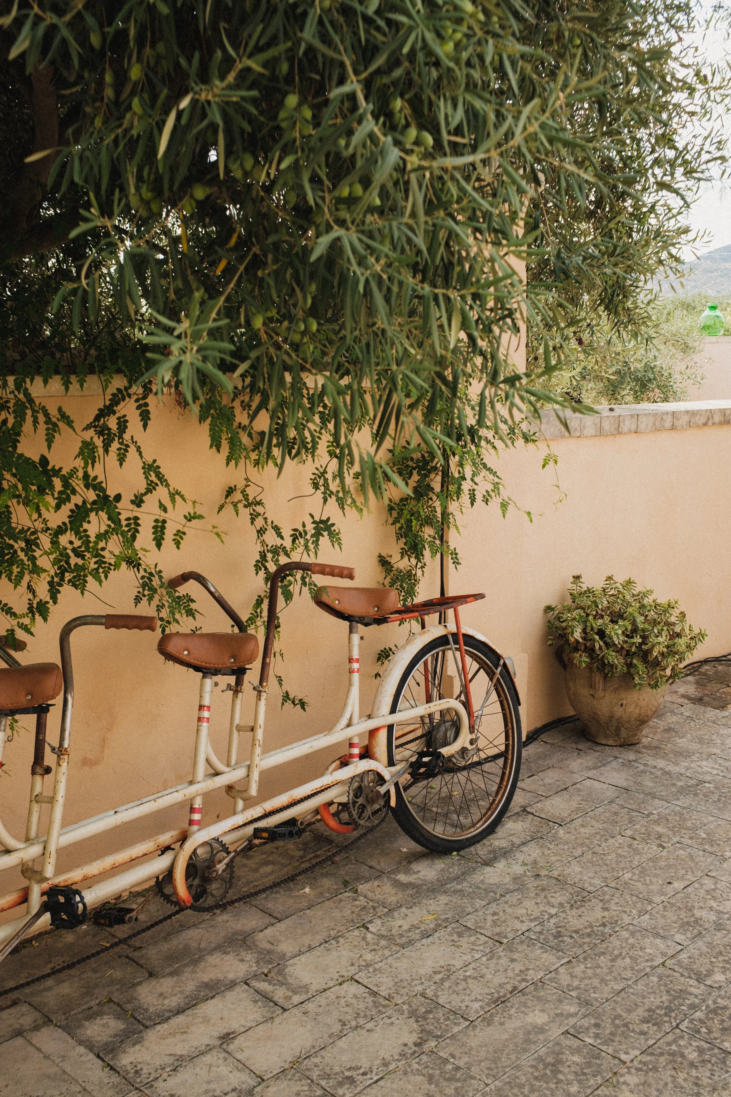 Jake & Morgan Highlights digi-02.jpg