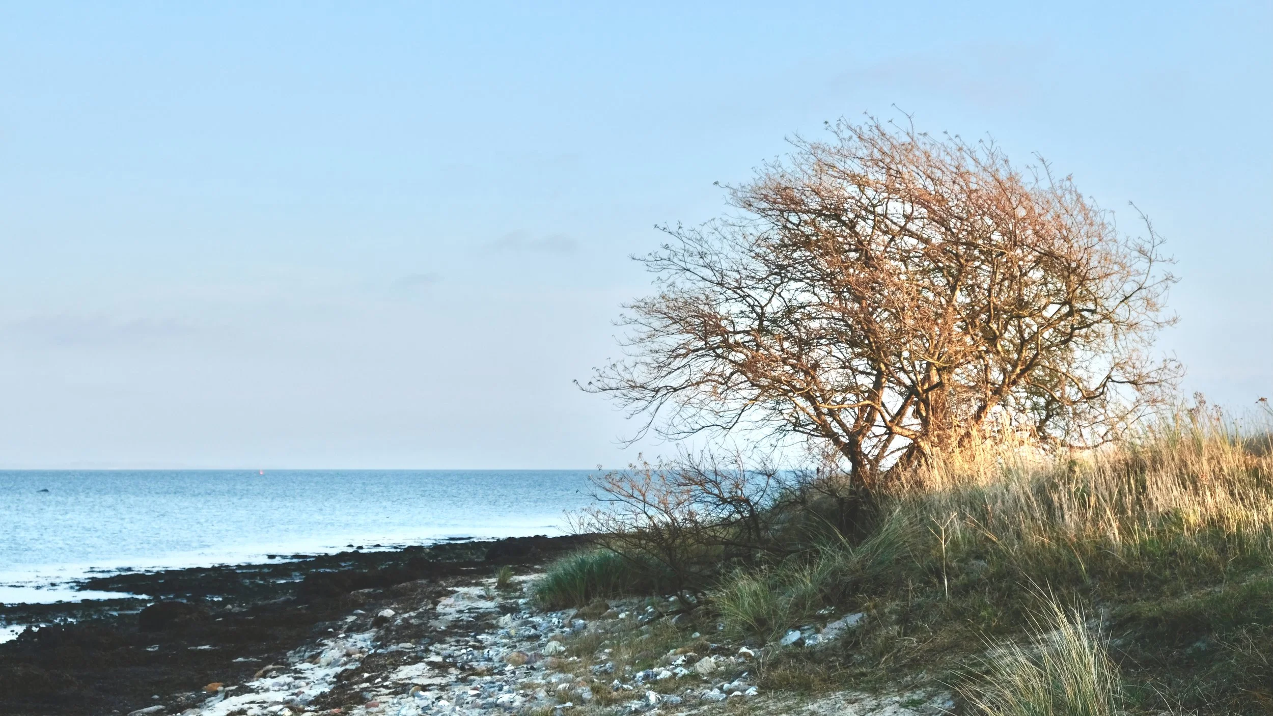 Coast in Germany
