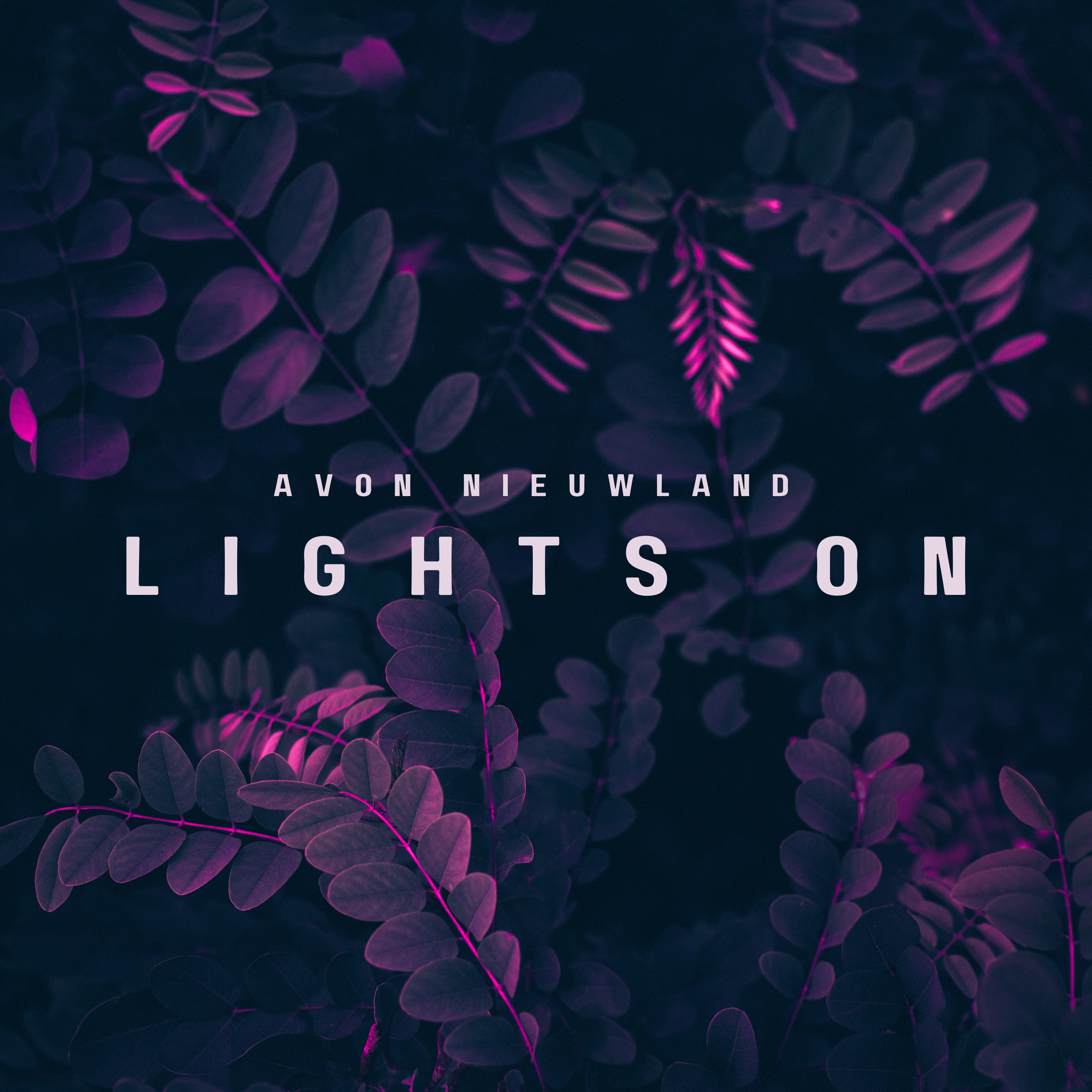 Lights On.png