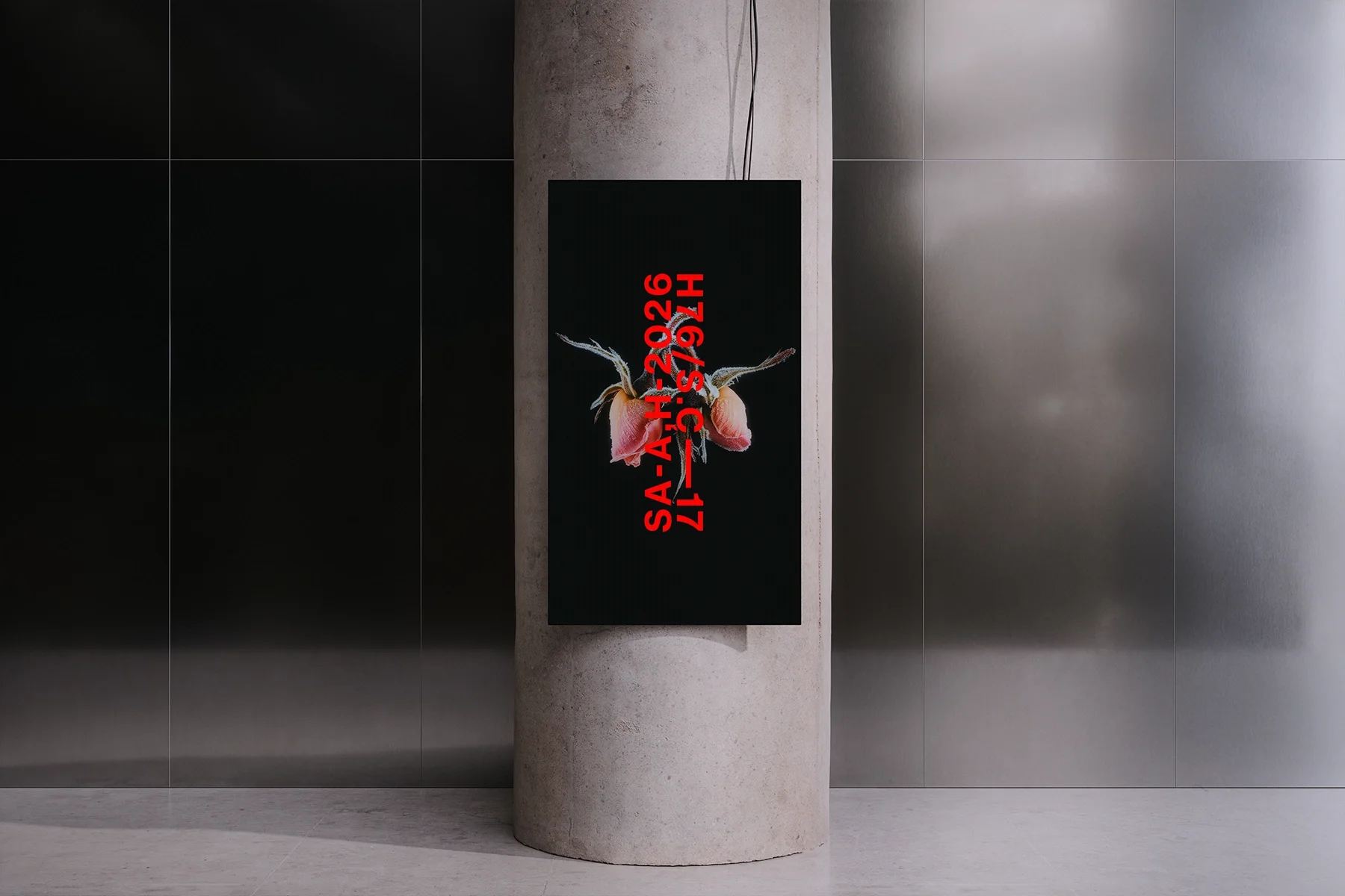 Vertical_Display_8 1.webp