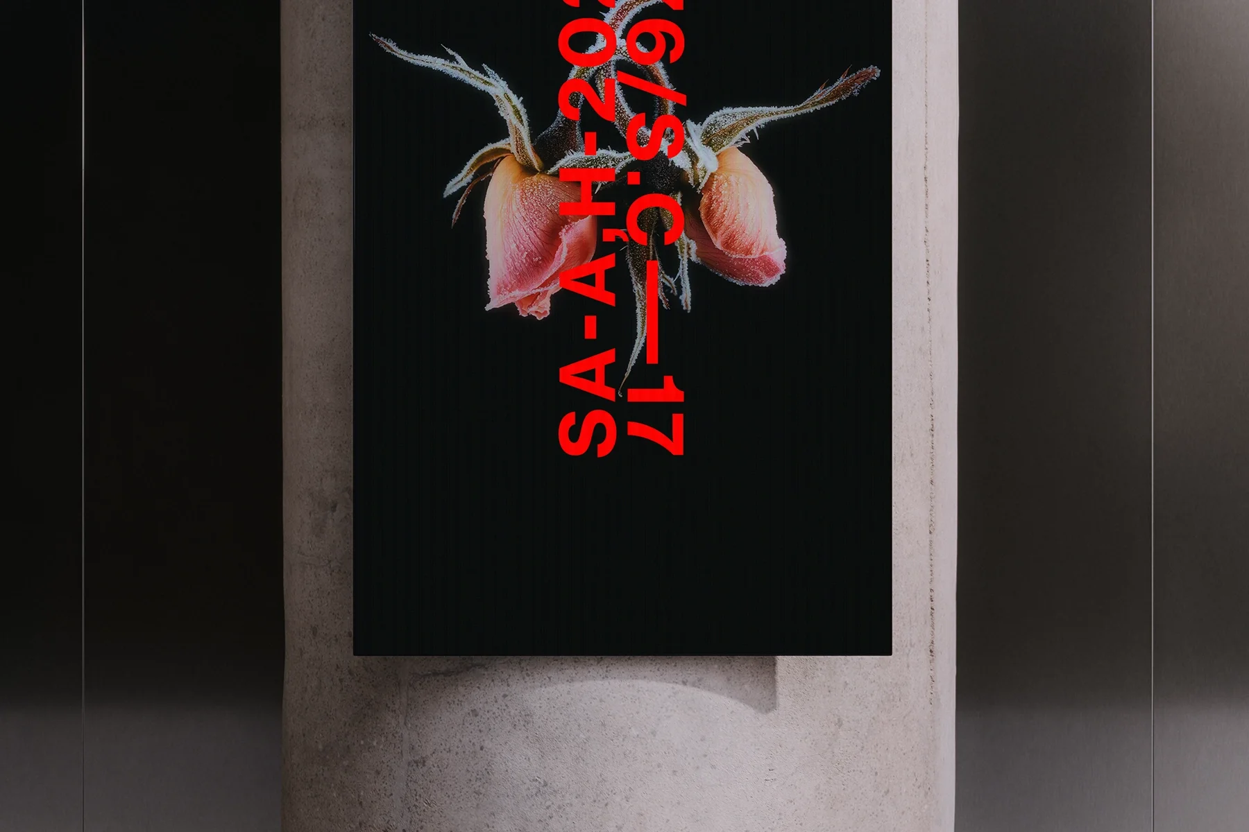 Vertical_Display_8 3.webp