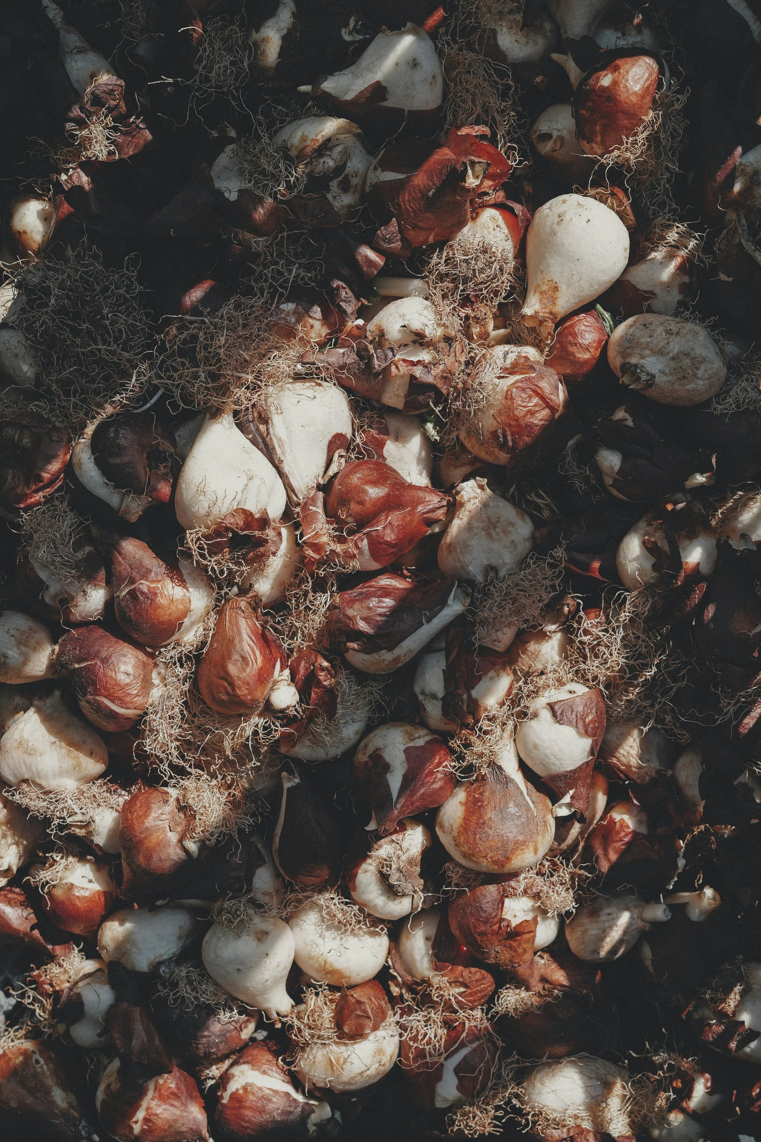 Winter Women's Circles