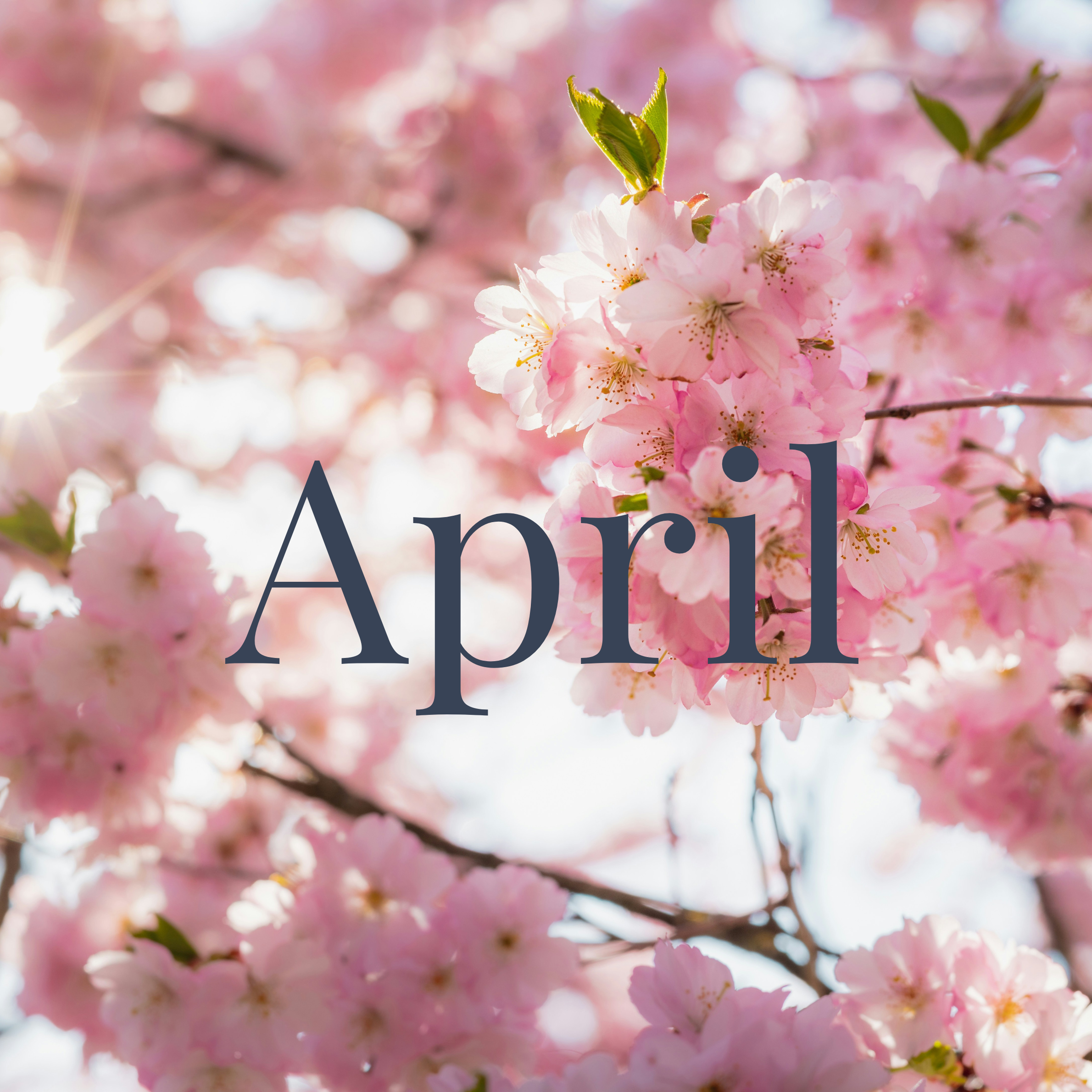 Untitled design (2).png