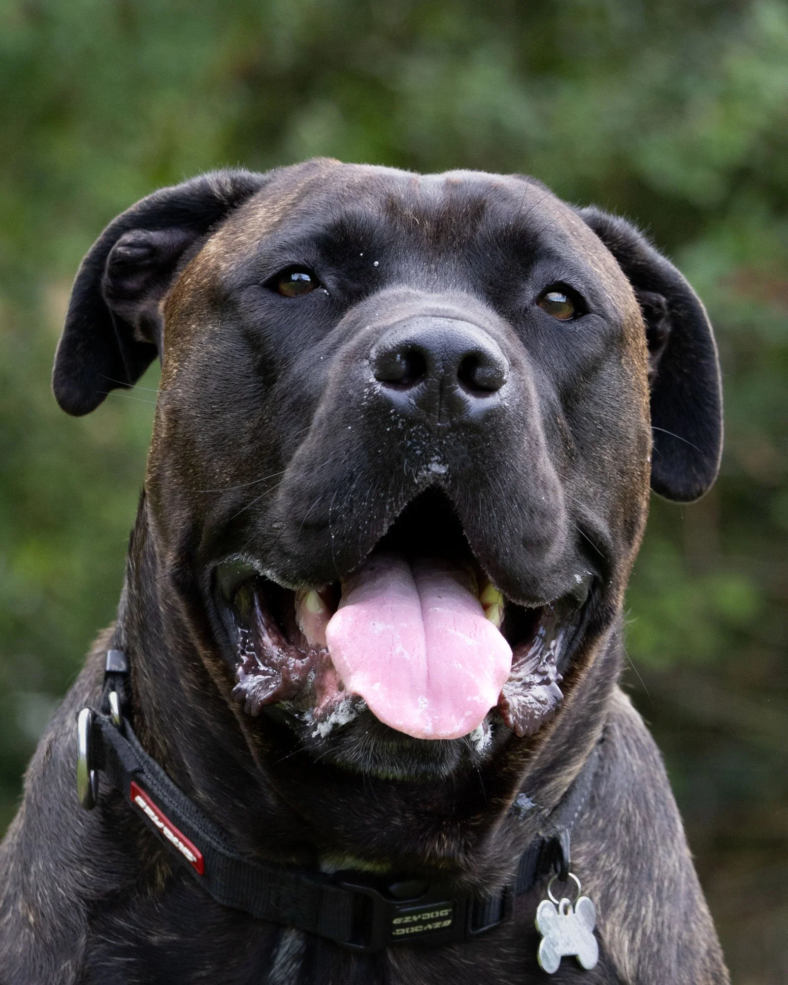 kayne final pics-# 13.jpg