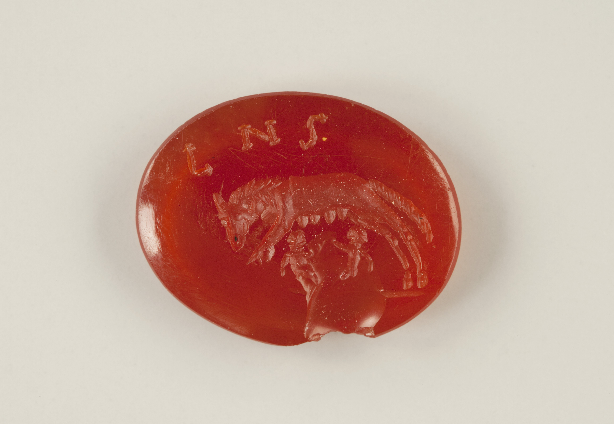 Gema roja con figura animal
Glíptica