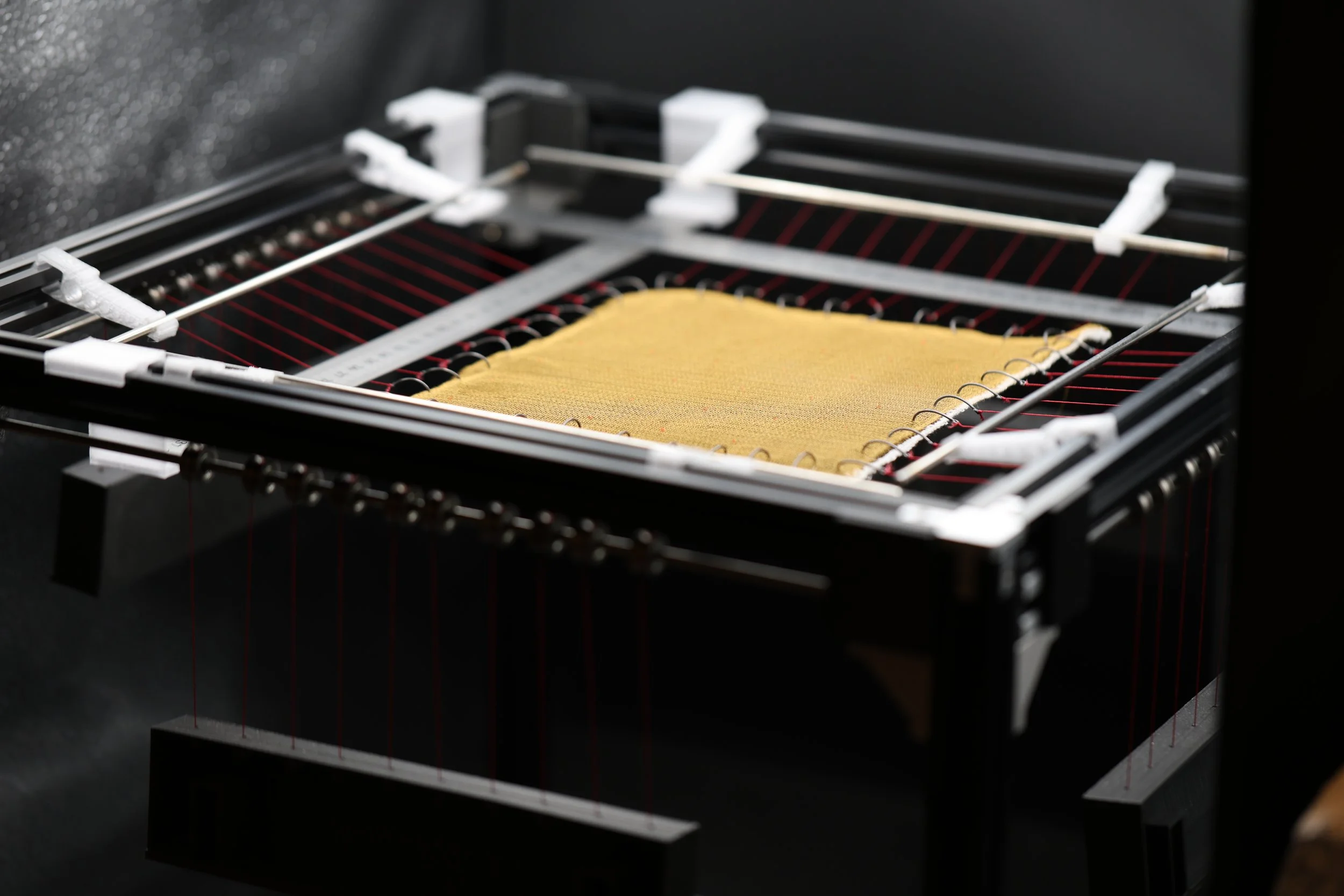 GEOSTUOIA MARINA BIO-DERIVATA