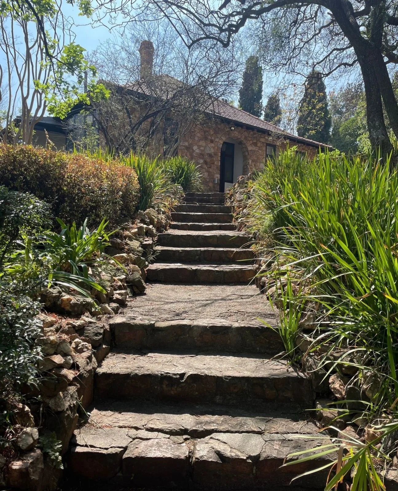 Andticks at Number 16