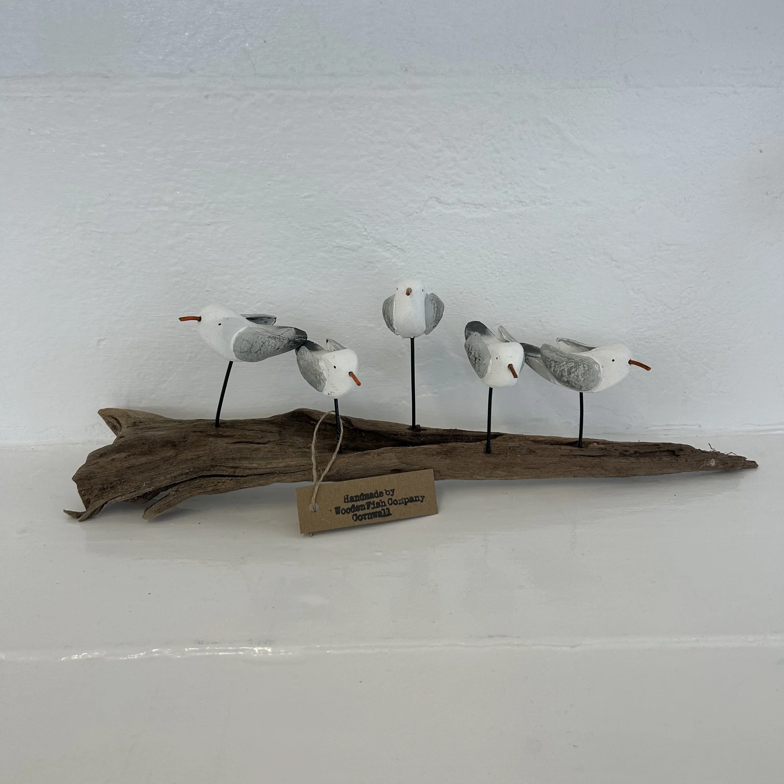 Five Gulls on Driftwood