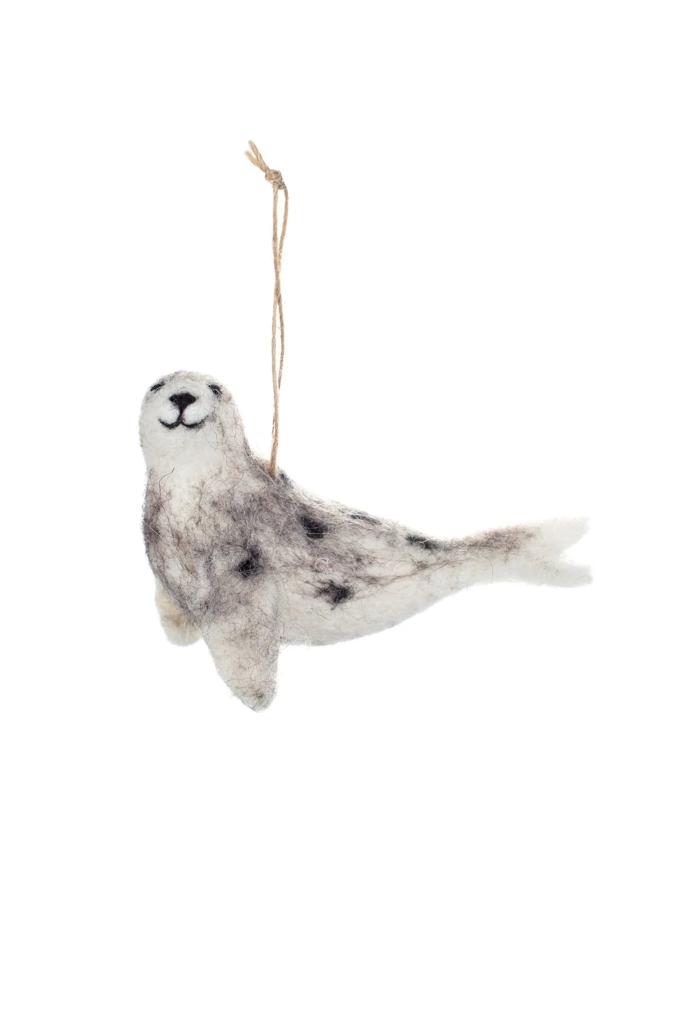 Harbour Seal