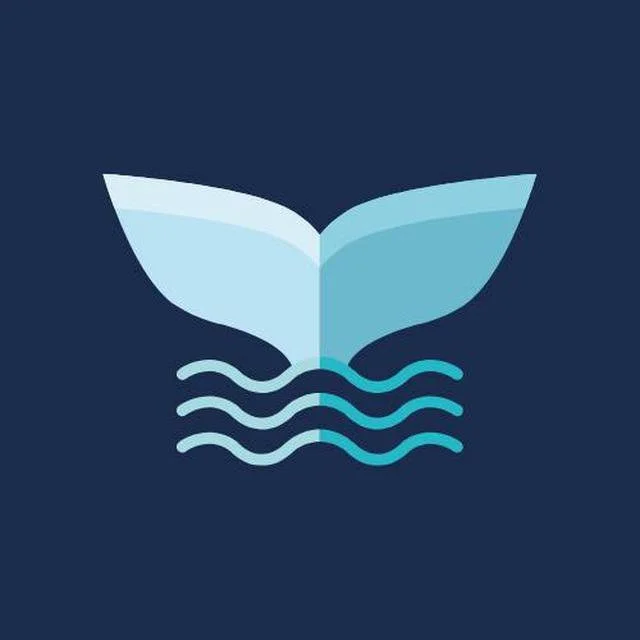 VoluTools logo – Pump.fun Volume Bot platform specializing in Solana token visibility modeling