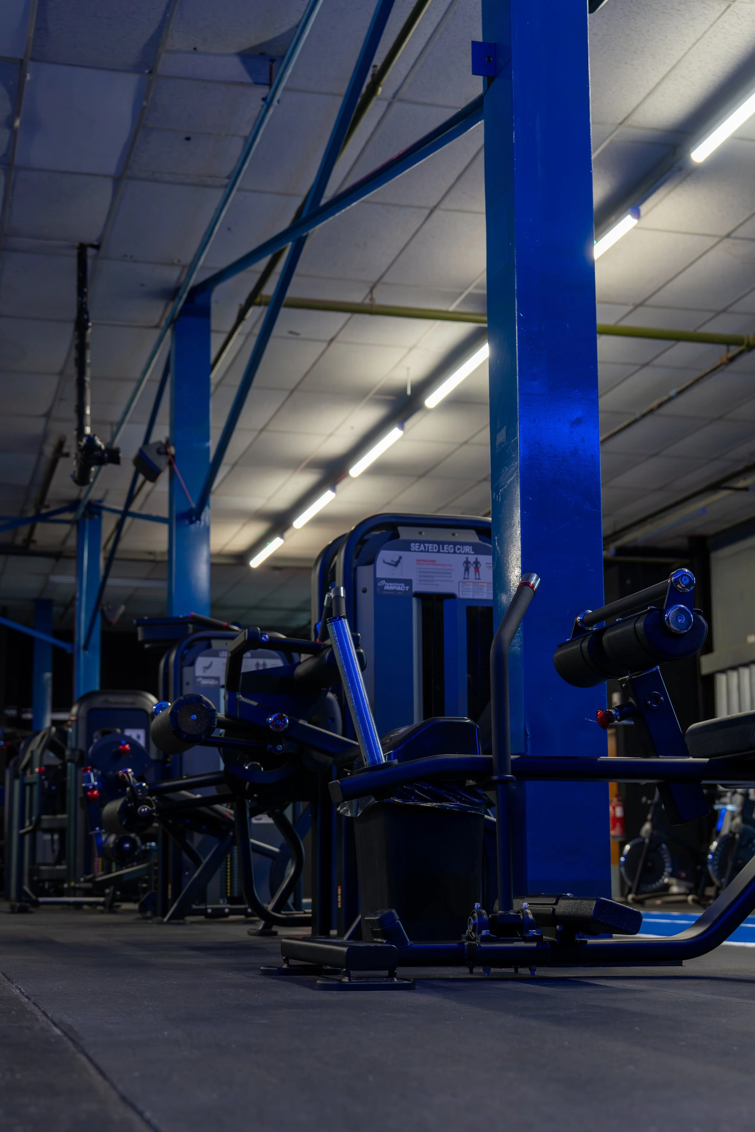 Gym equipment including leg curl machines with blue metal frames and black padding, organized in rows in a gym with a black rubber floor and ceiling with fluorescent lights.