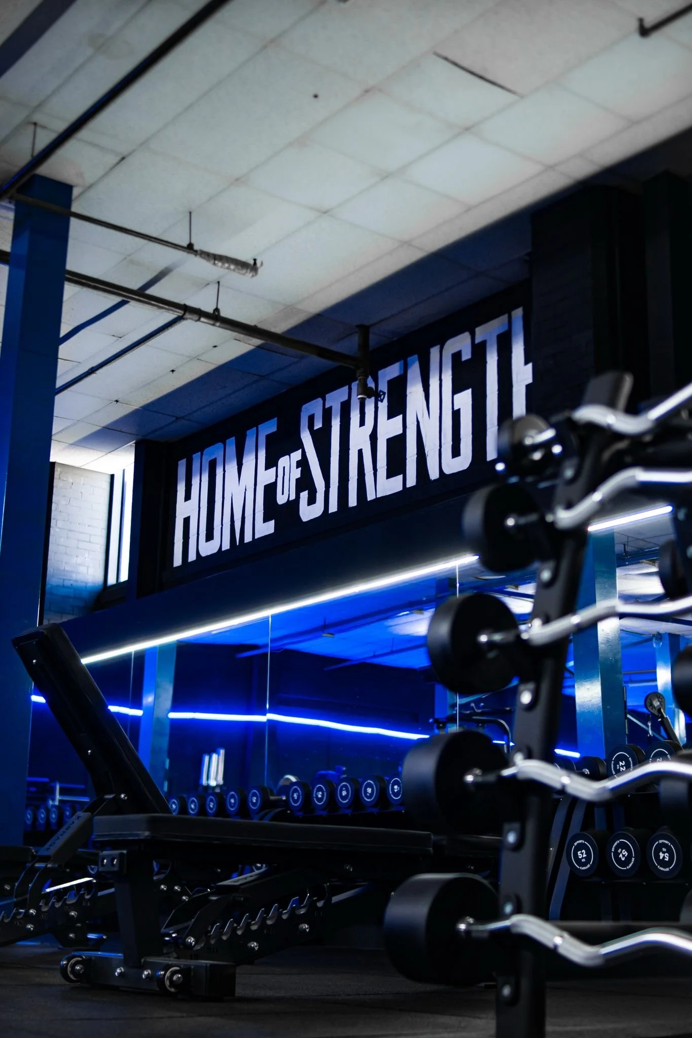 IronHQ Gym Bingham Home of Strength
