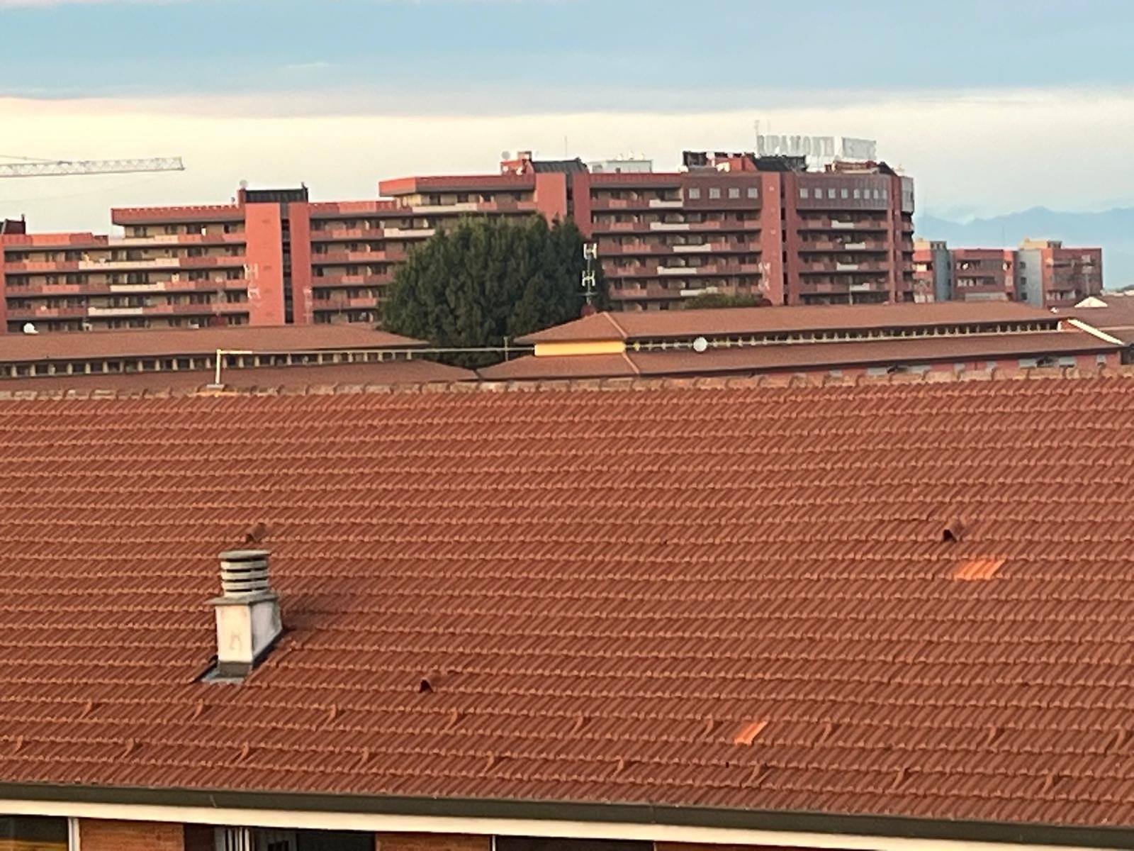 WhatsApp Image 2025-10-06 at 10.23.54 (4).jpeg