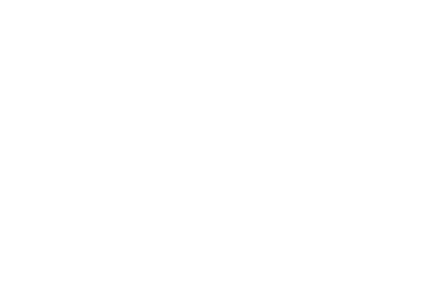 Poke Dream Logo.png