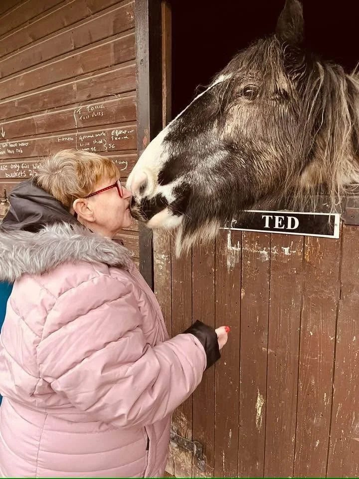 Woman with glasses and a pink winter coat touching noses with a horse named Ted through a stable door.