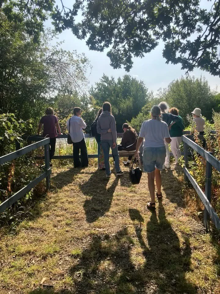 Flow &amp; Stillness: Outdoor Tai Chi at Rainbow’s End 