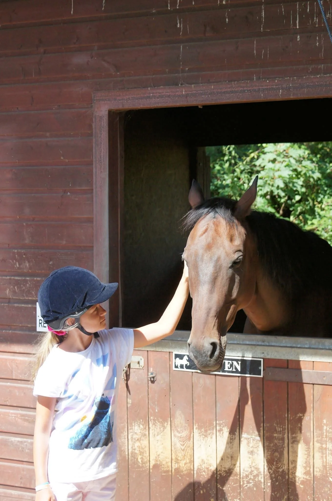 A young girl wearing a navy riding helmet gently touches the face of a brown horse in a stable window.