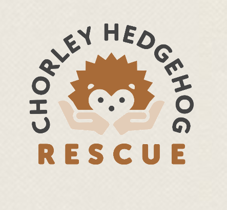 Logo with a hedgehog cartoon and the text 'Chorley Hedgehog Rescue' in curved and straight styles.