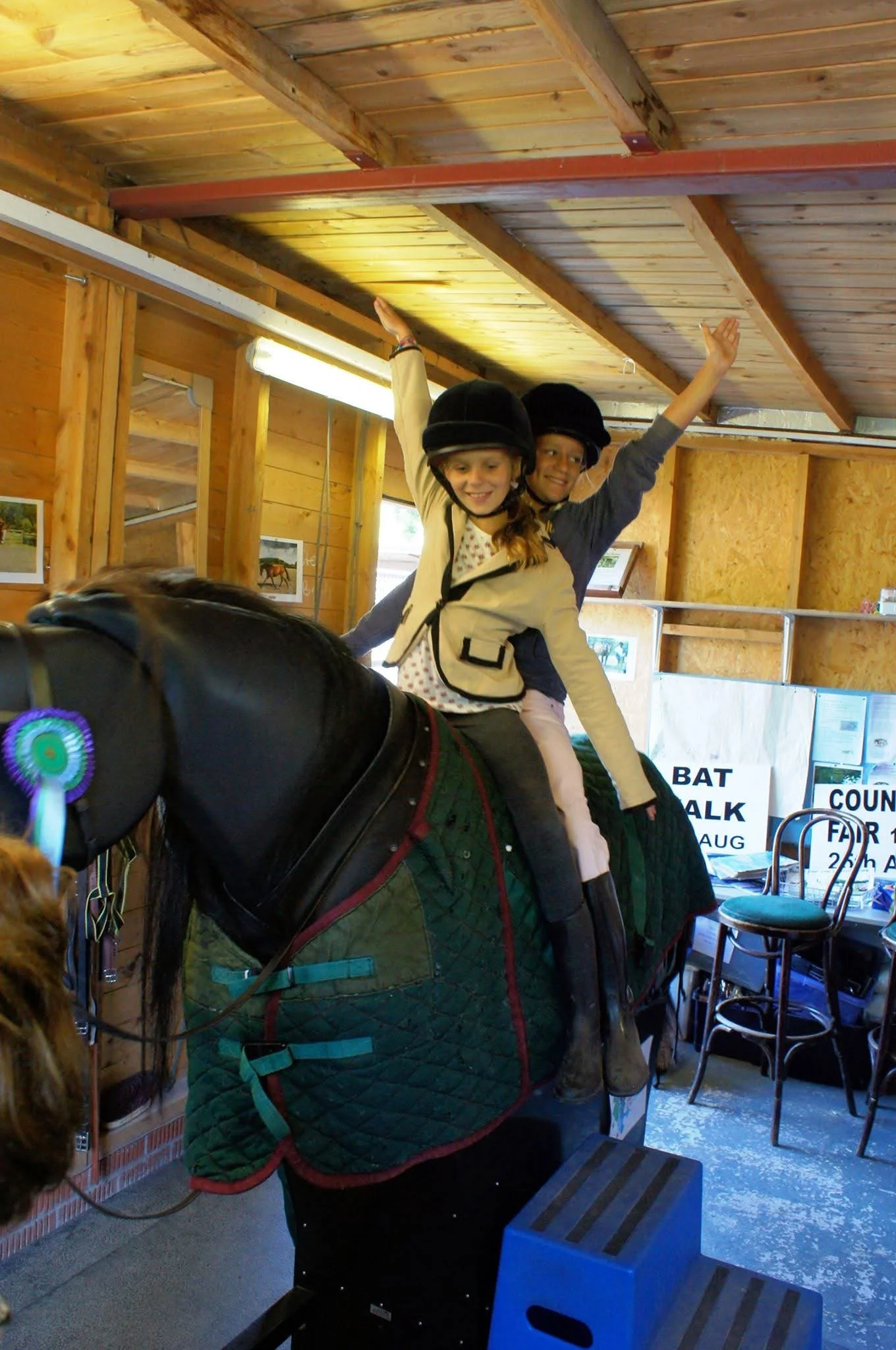 Two children wearing riding helmets are riding a mechanical horse housed in an indoor wooden stable, smiling and raising their arms as part of a balancing exercise.