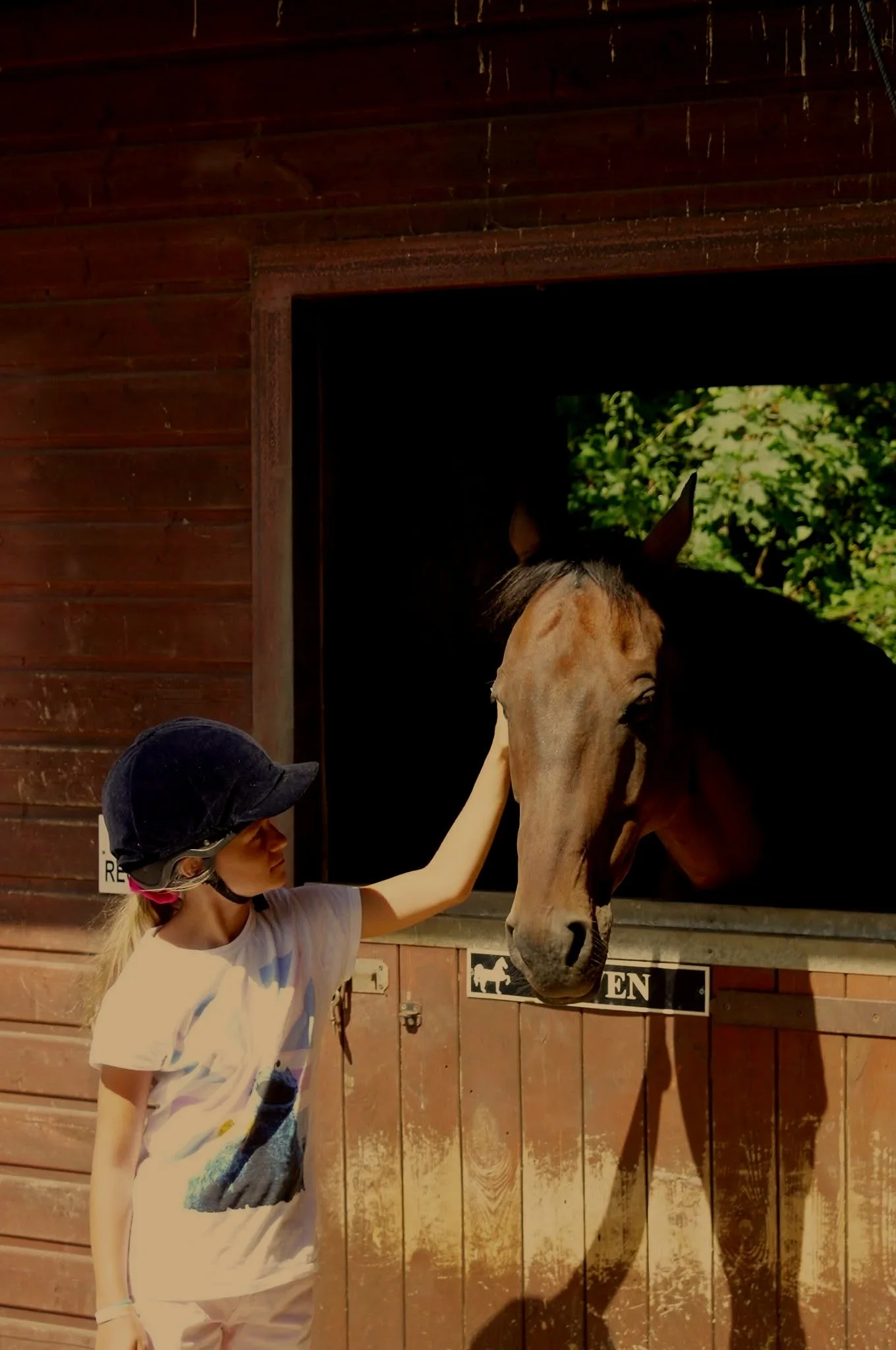 A young girl petting a horse through the stable window on a sunny day.