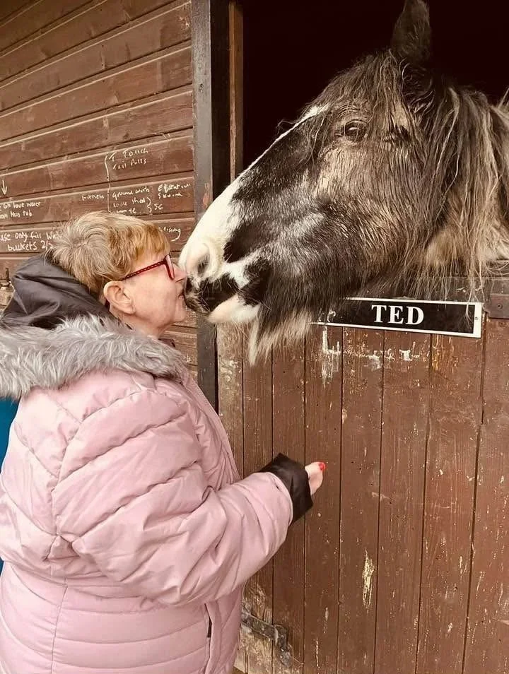 A person with short red hair, glasses, and a pink coat is standing directly in front of a horse which is peeking out from a wooden stall. The person appears to be kissing or about to kiss the horse's nose.