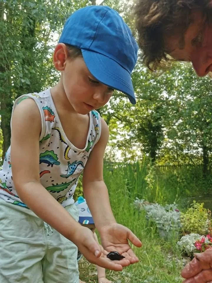 A young boy with a blue cap and sleeveless dinosaur print shirt holding a small frog in his hands, looking at it closely outdoors with a woman nearby.