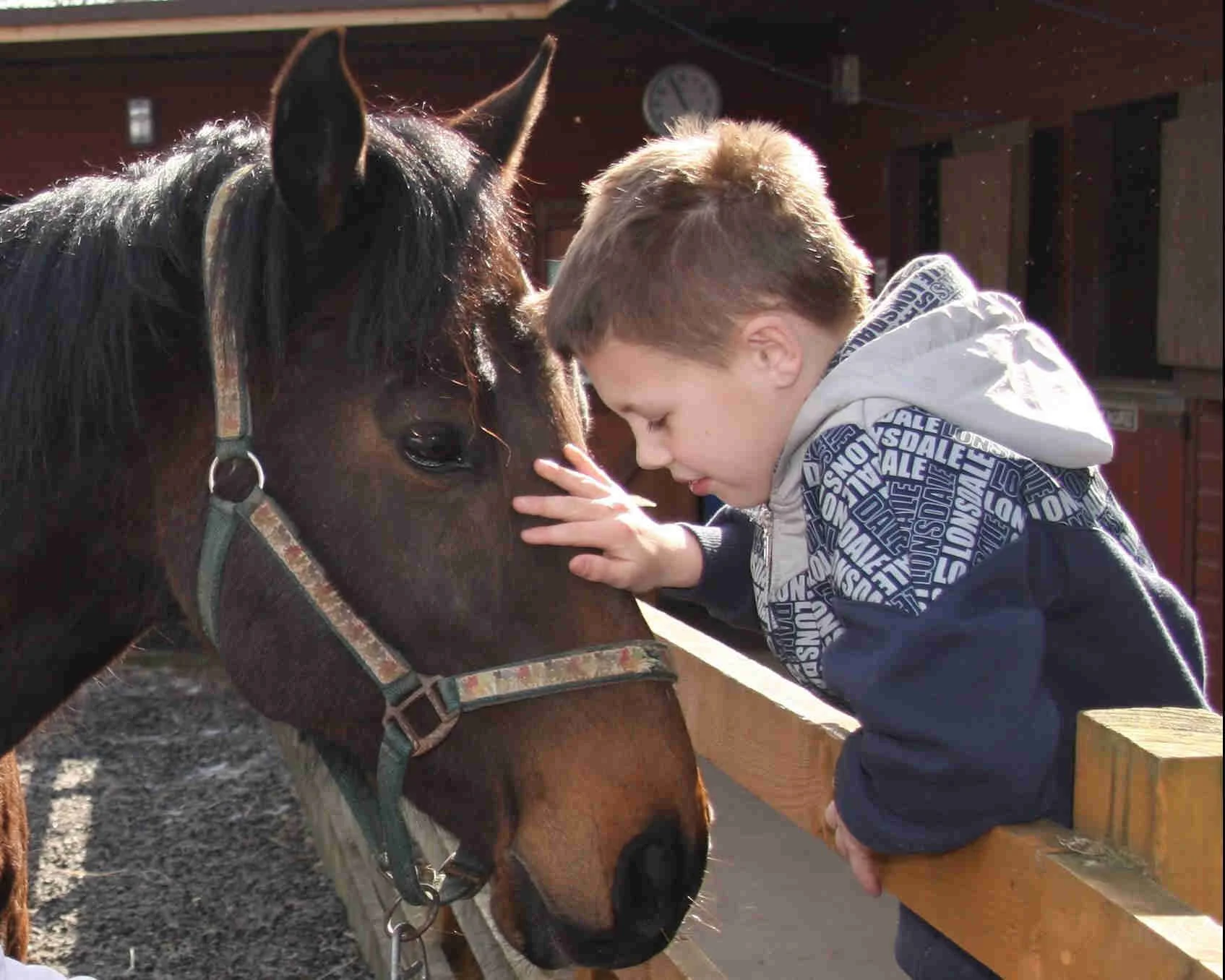 Young boy petting a horse's face while leaning over a wooden fence.
