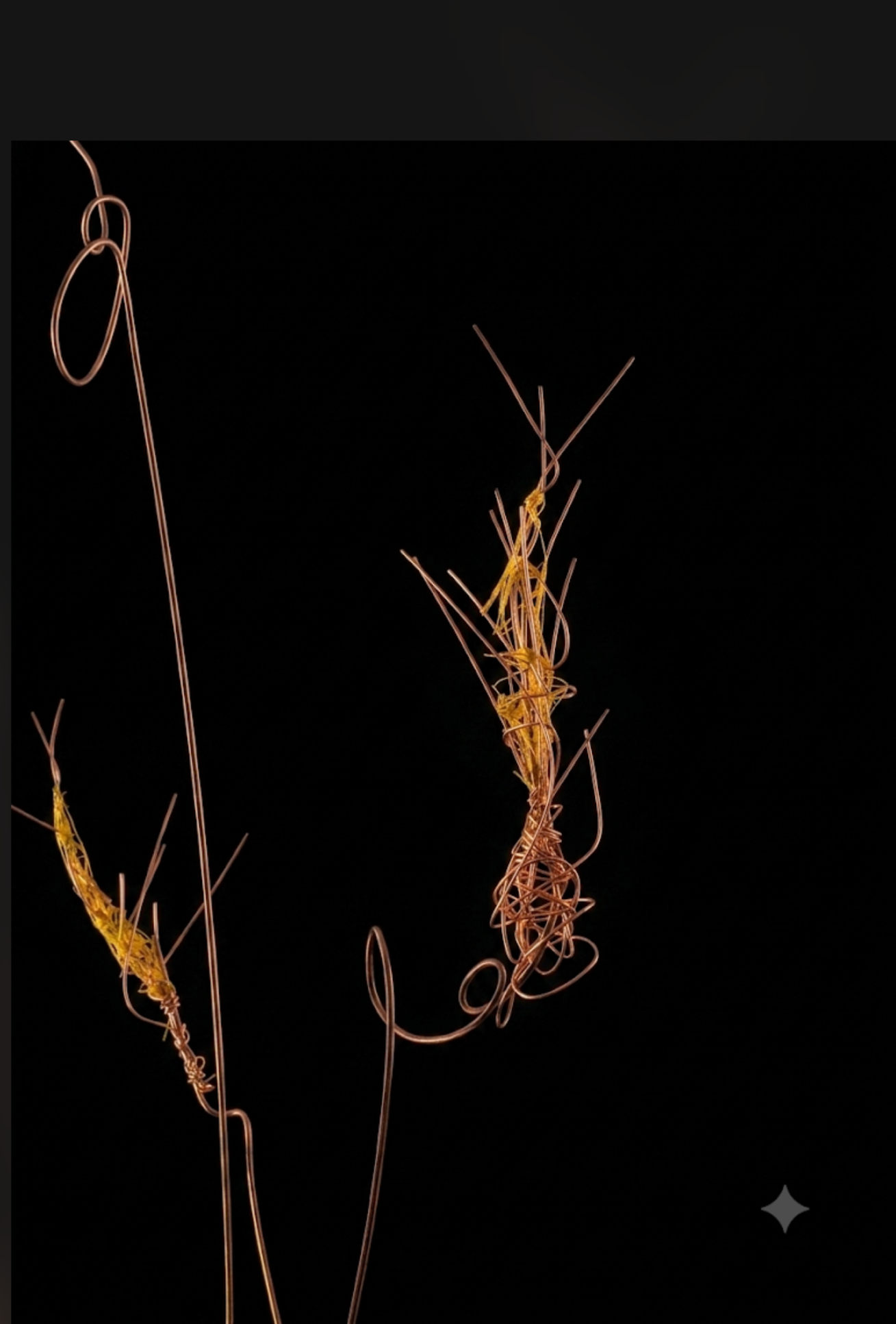 'There's nothing to fear, don't be afraid' -  based on 'The Sacrifice' (1986), a film by Andrei Tarkovsky.   2026. Metal rods, untreated muslin, cotton and wax threads. 193 cm x 92 cm / 76" x 3". Photograph of fully grown wheat. (please see the other