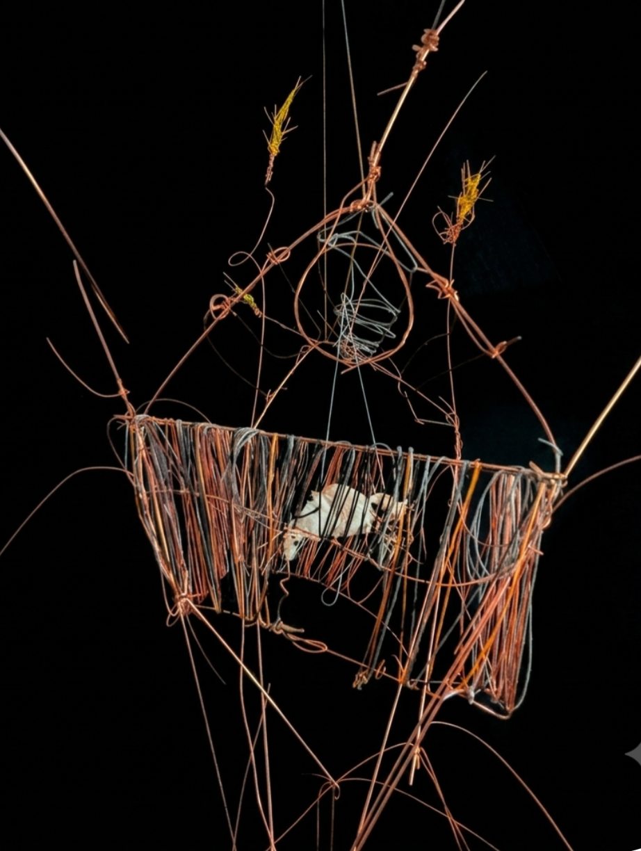 'There's nothing to fear, don't be afraid' -  based on 'The Sacrifice' (1986), a film by Andrei Tarkovsky.   2026. Metal rods, untreated muslin, cotton and wax threads. 193 cm x 92 cm / 76" x 3". Photograph of the house with the couple inside. (pleas