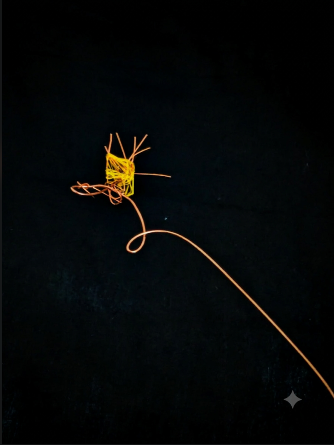 'There's nothing to fear, don't be afraid' -  based on 'The Sacrifice' (1986), a film by Andrei Tarkovsky.   2026. Metal rods, untreated muslin, cotton and wax threads. 193 cm x 92 cm / 76" x 3". Photograph of fully grown wheat. (please see the other
