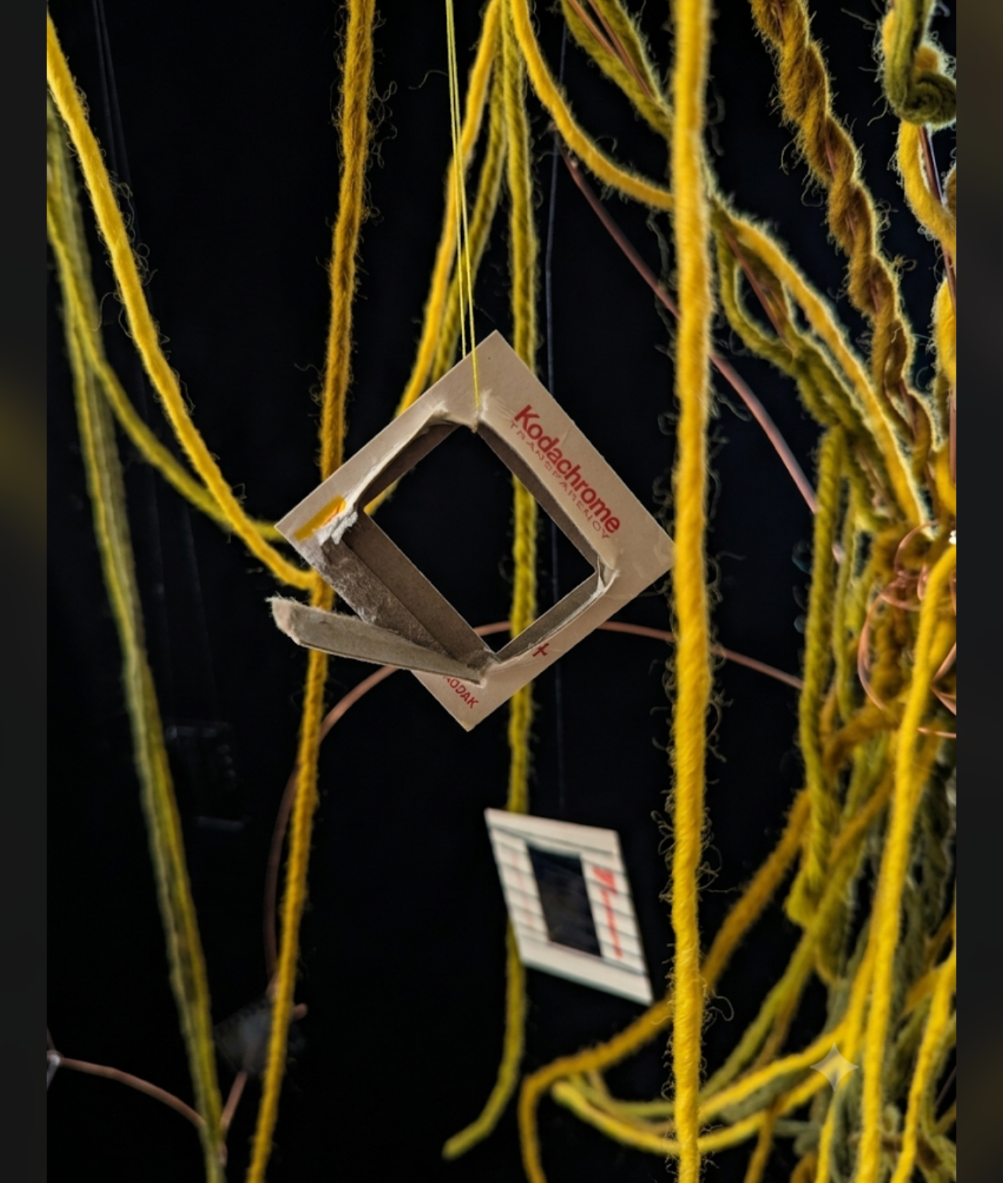 Memory Tree -  based on Andrei Tarkovsky's films.   2026. Slides representing broken memory and forgotten events.