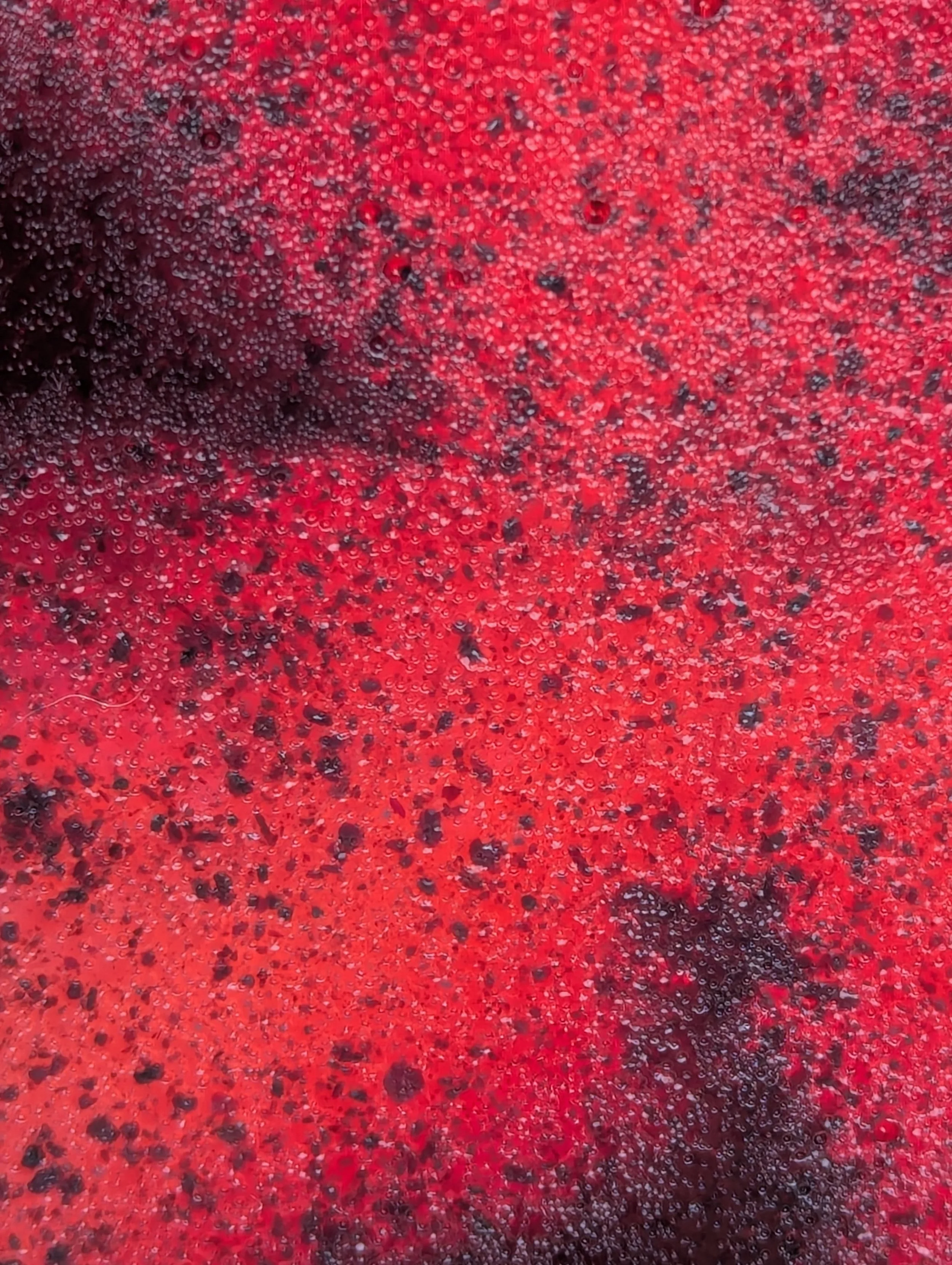 Vestige I. 2026. Photography/Digital Archive.  
Hibiscus powder in bioplastic solution.